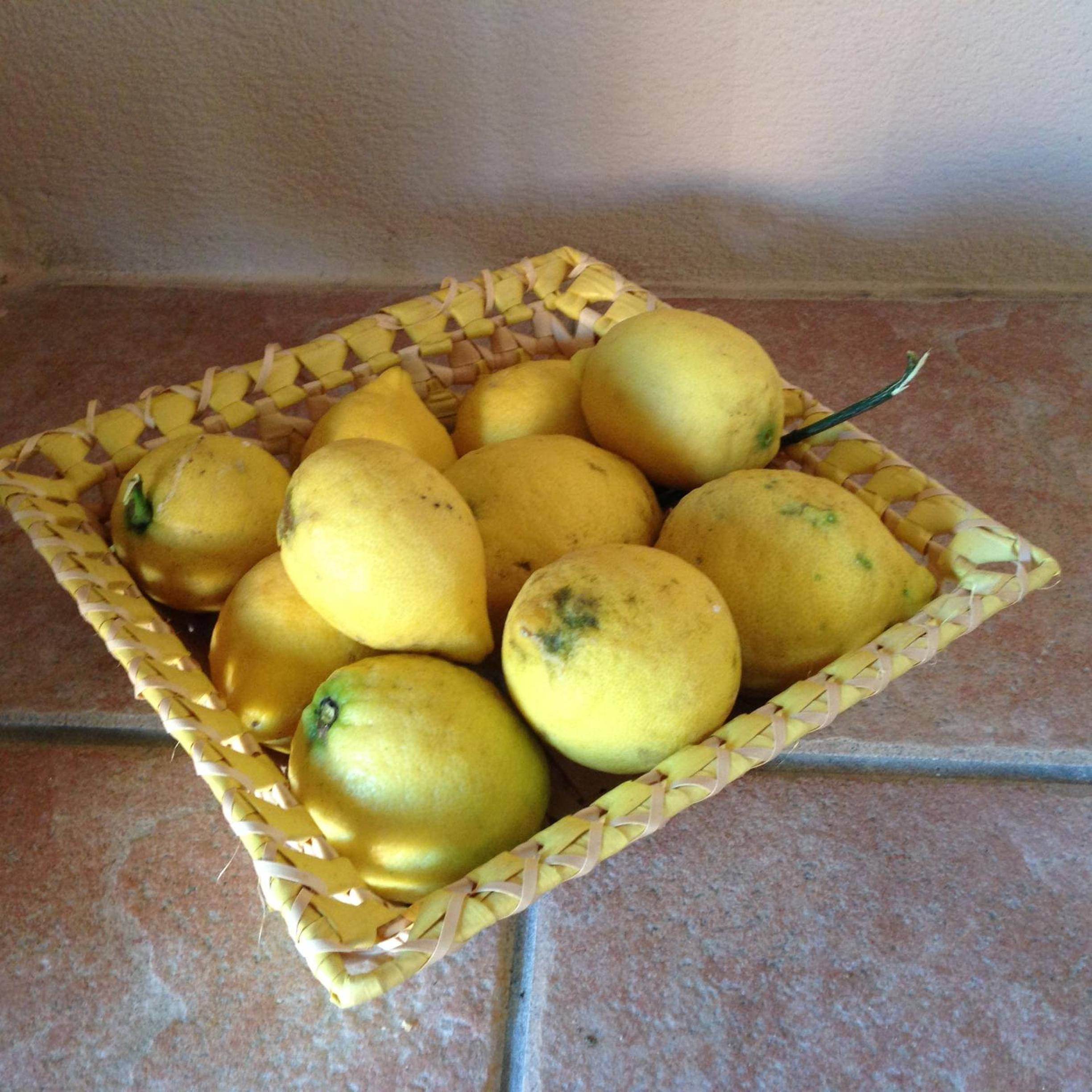 Photo 44