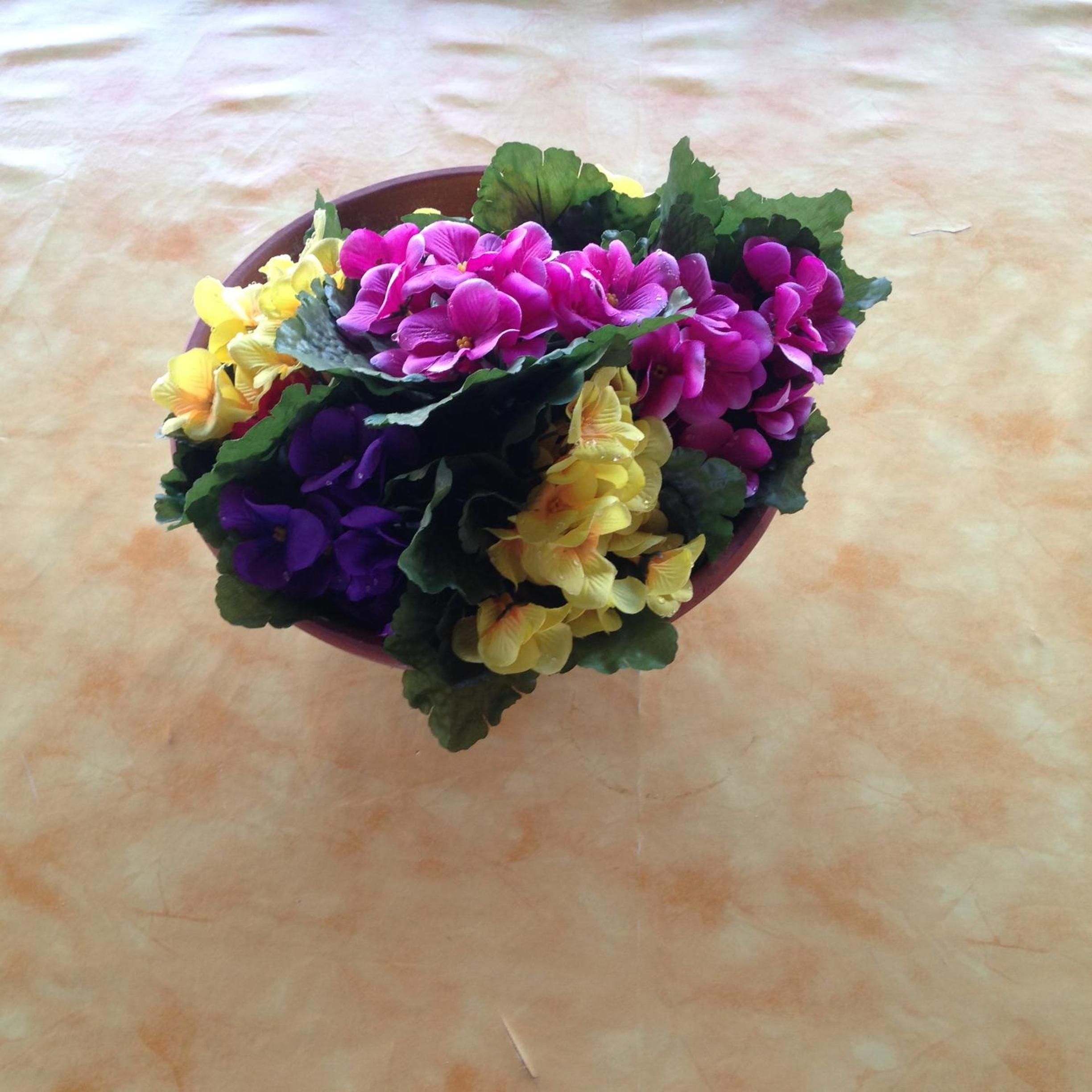 Photo 43