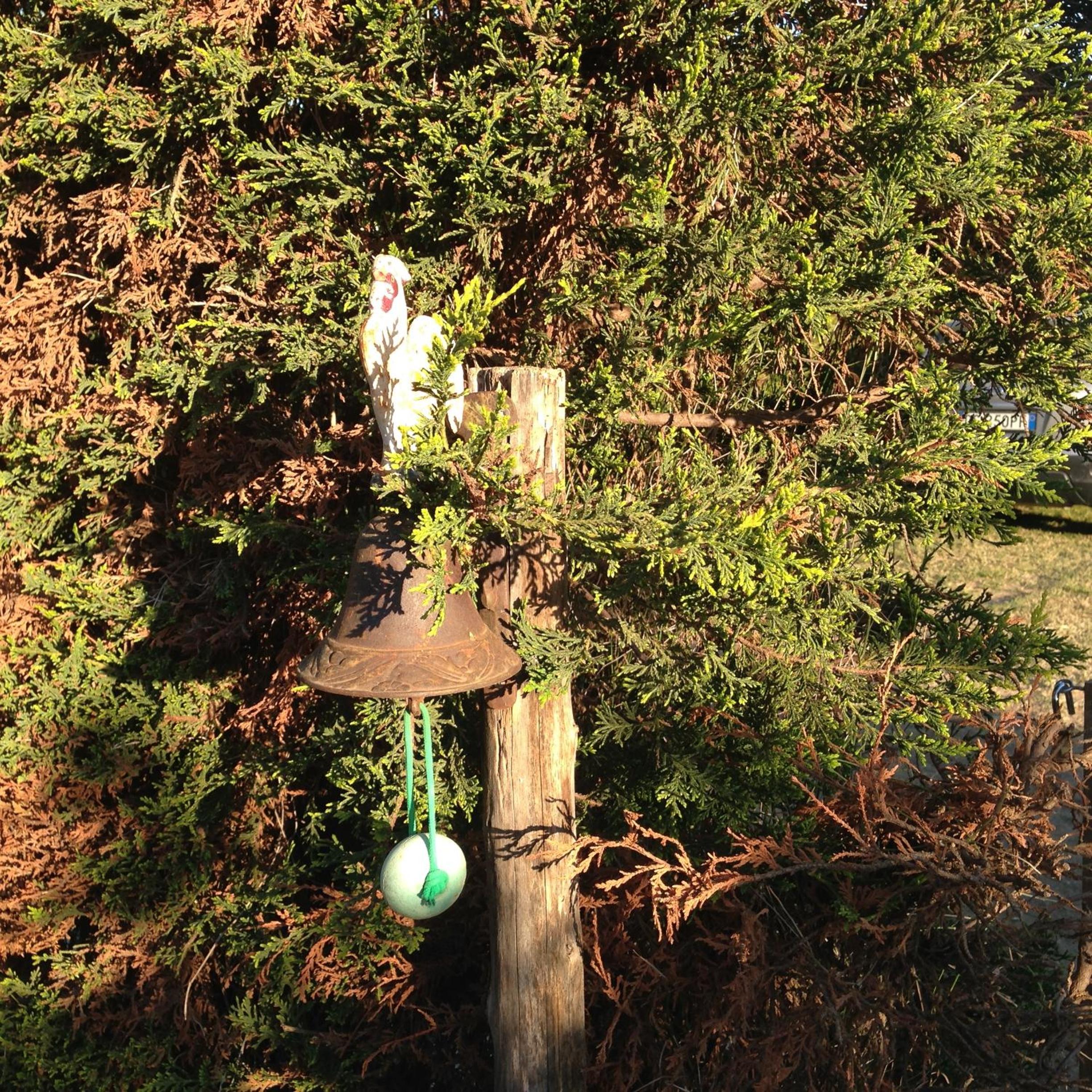 Photo 42