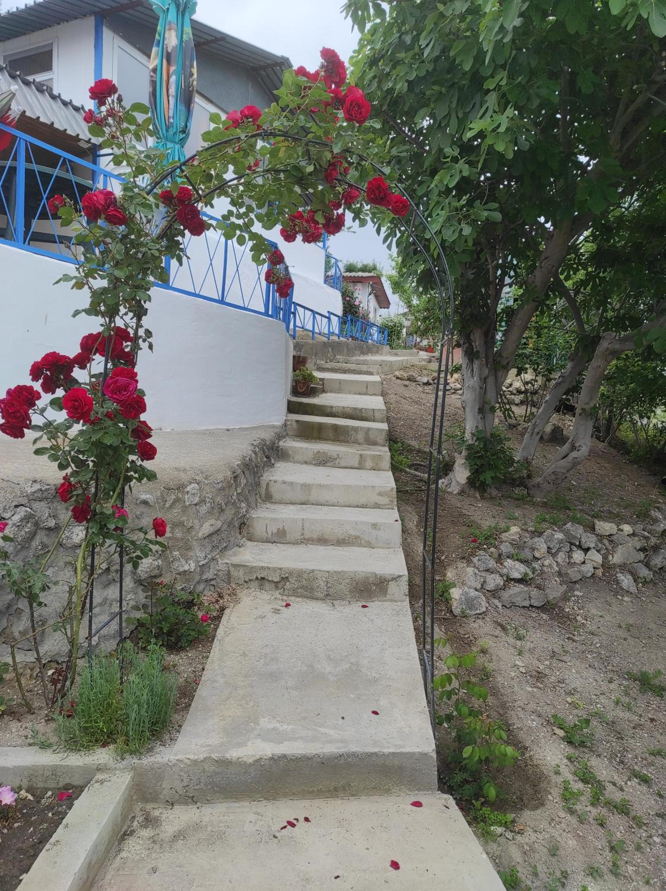 Ваканционни къщи'На брега' Holiday houses ON THE COAST