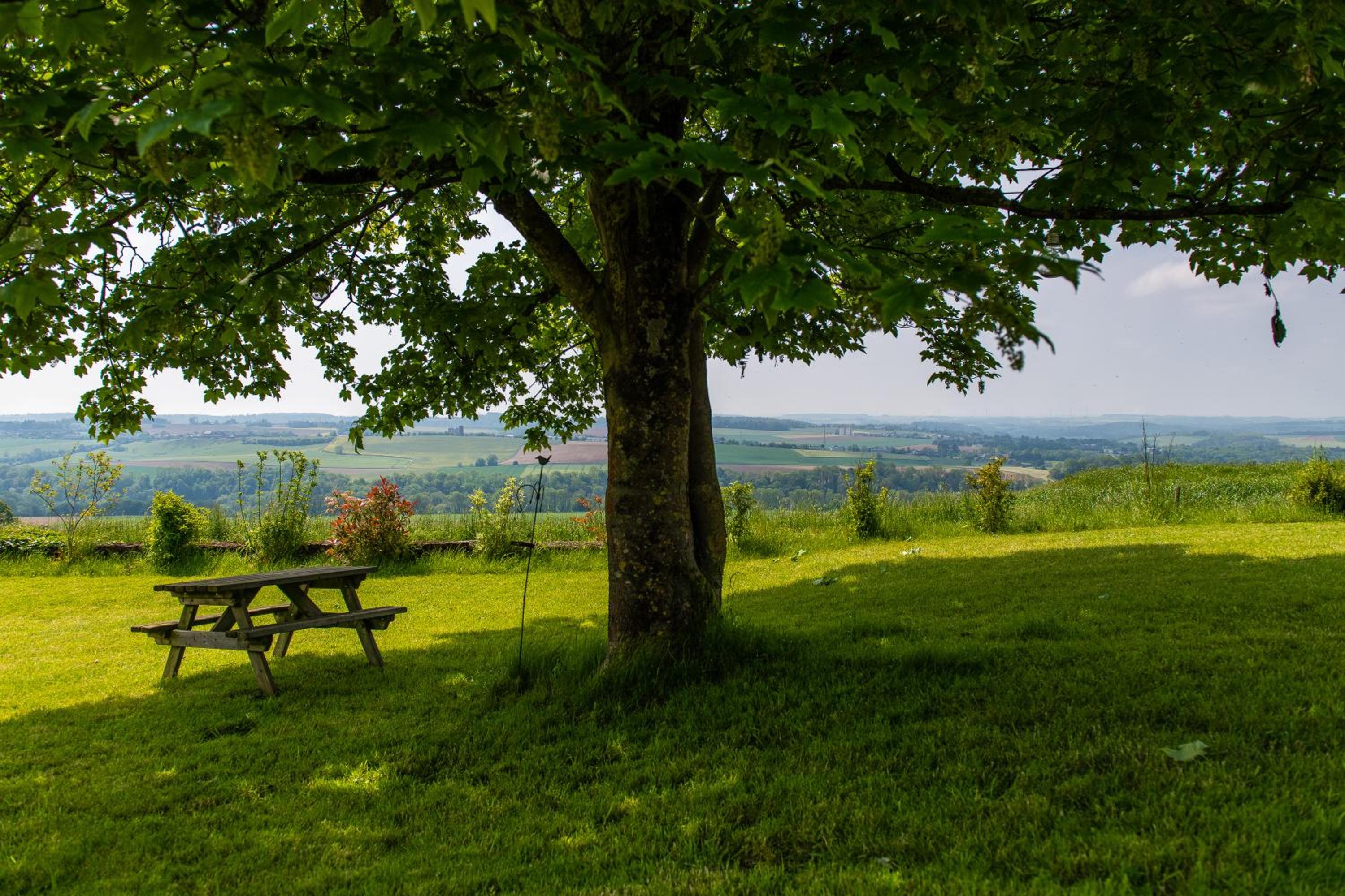 Le panorama