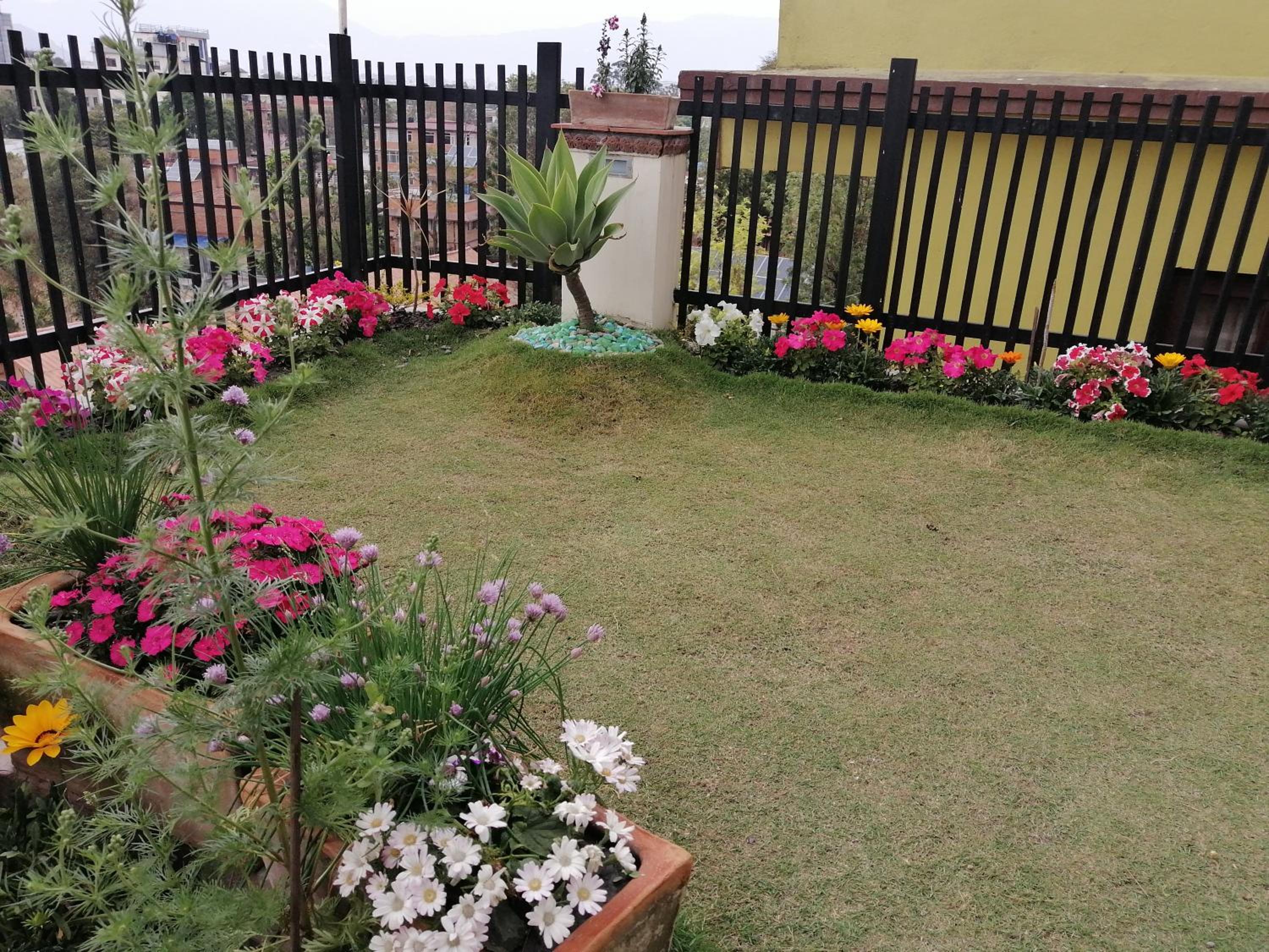 Photo 9