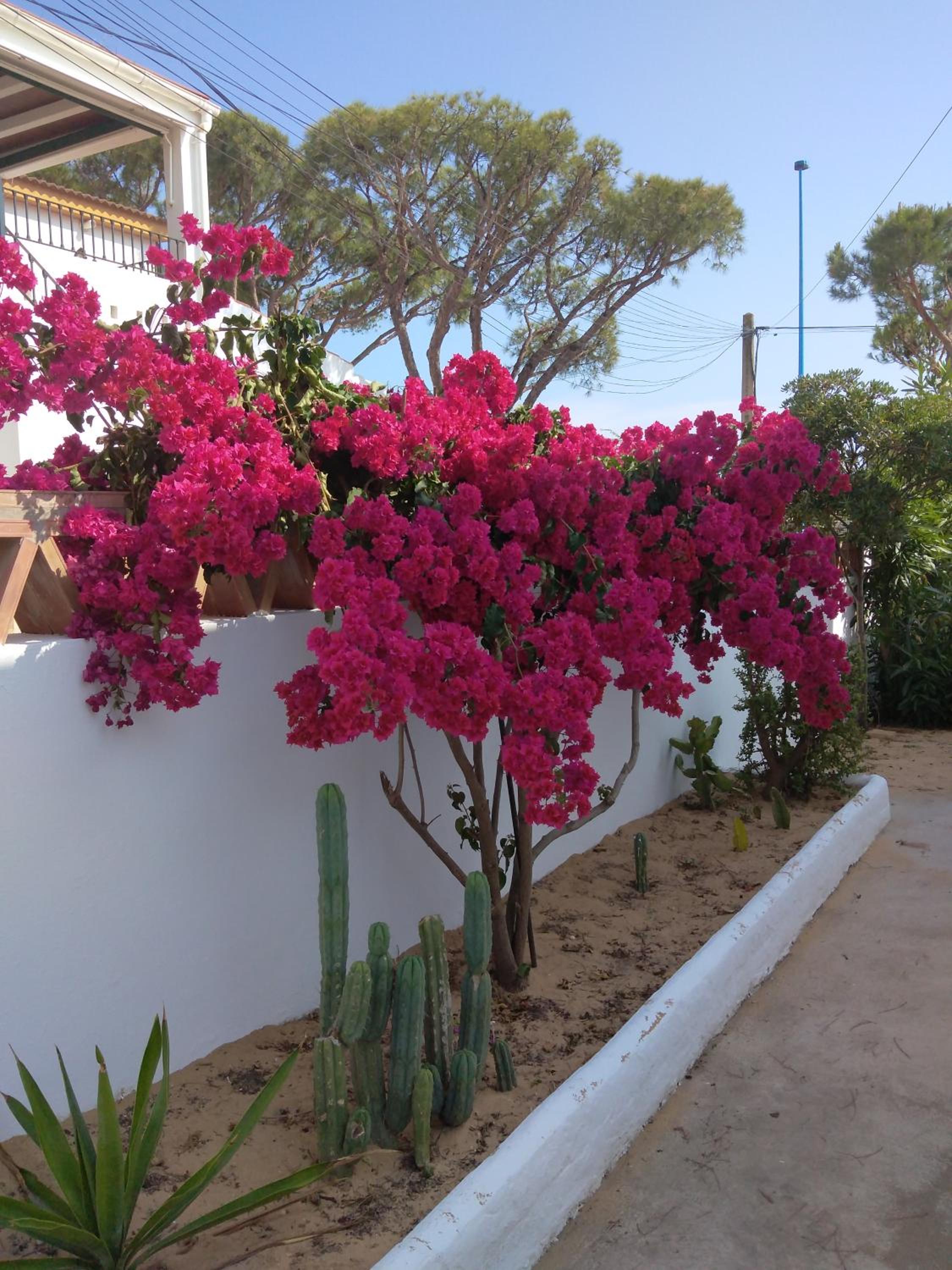 Casa playa de Mazagón
