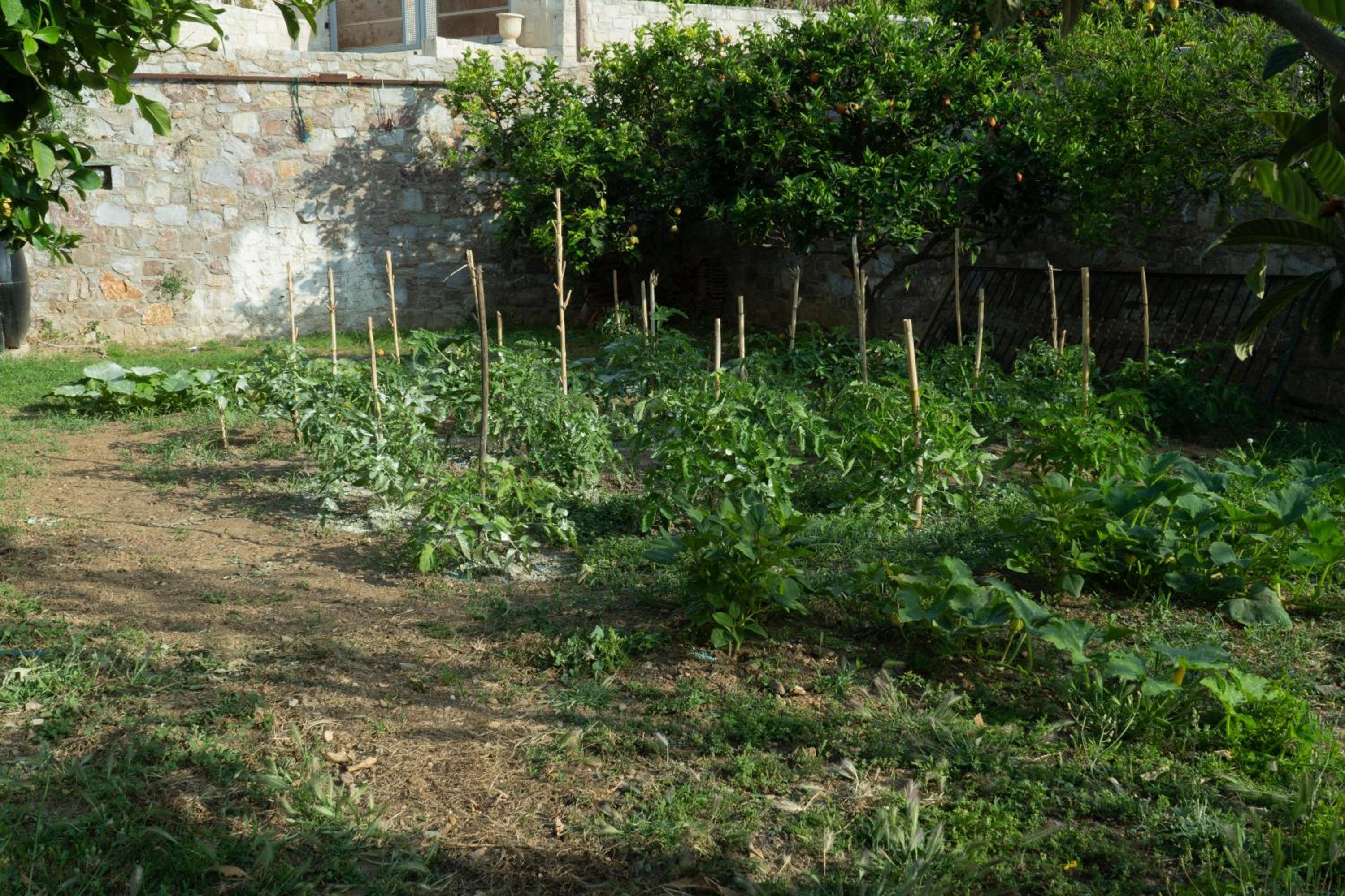 Photo 40