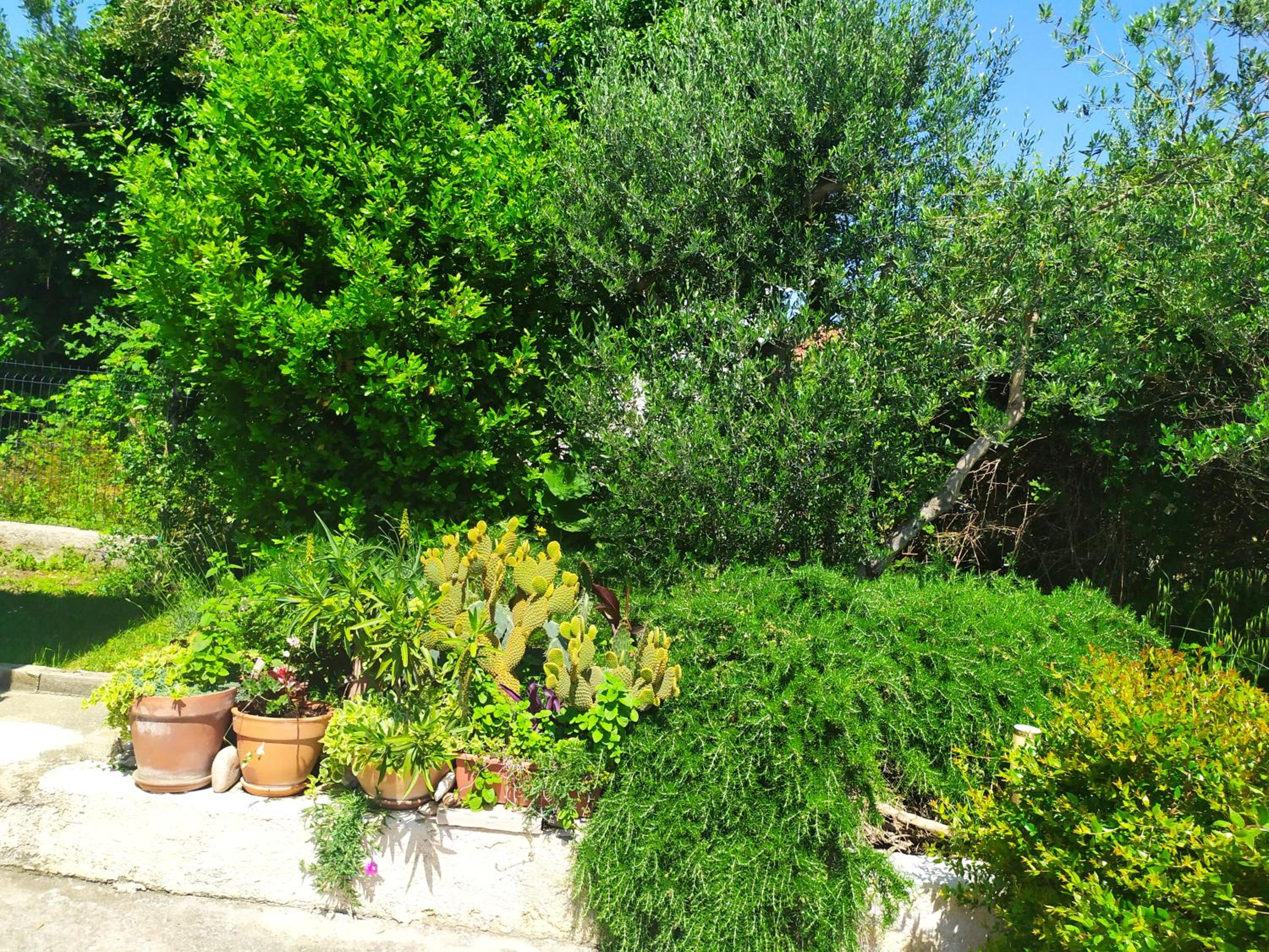 Photo 22