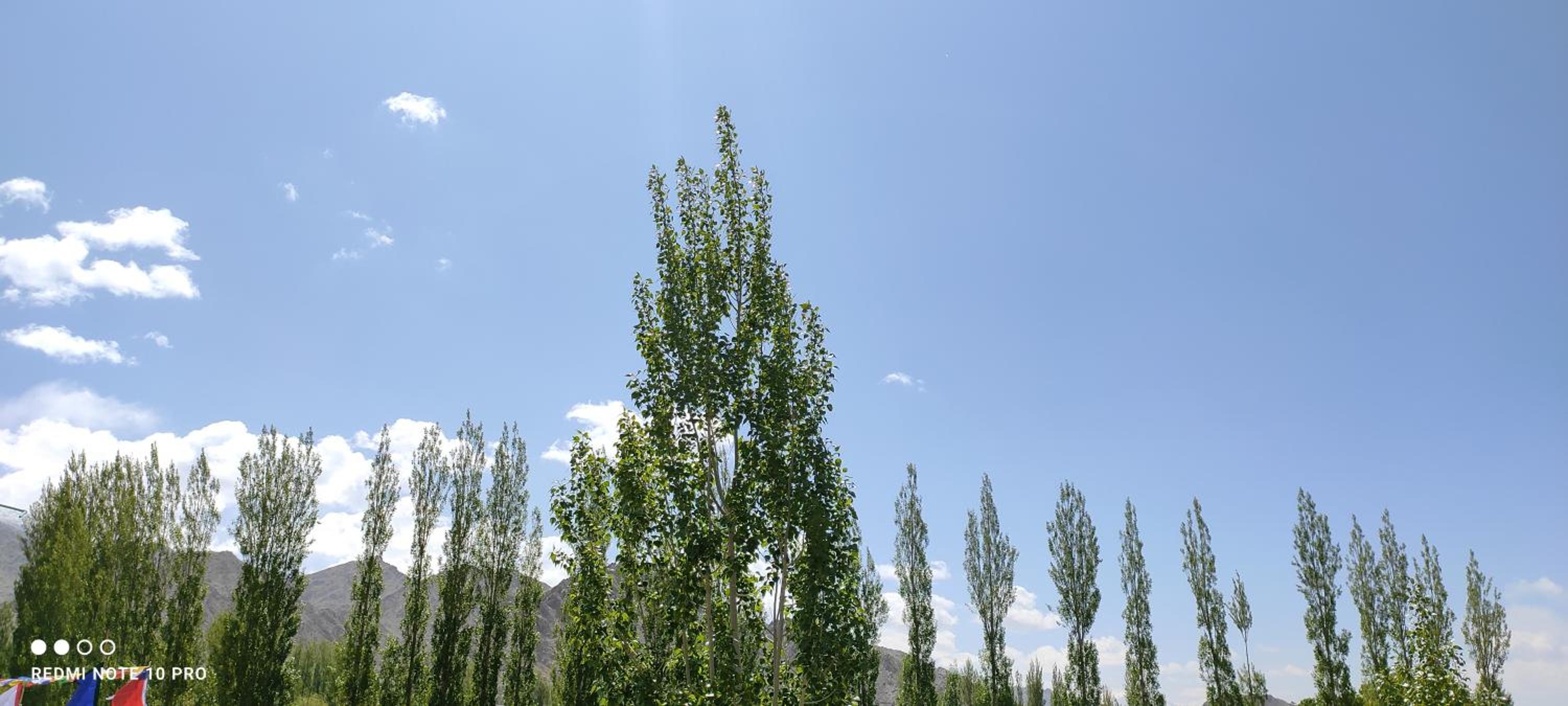 Photo 46