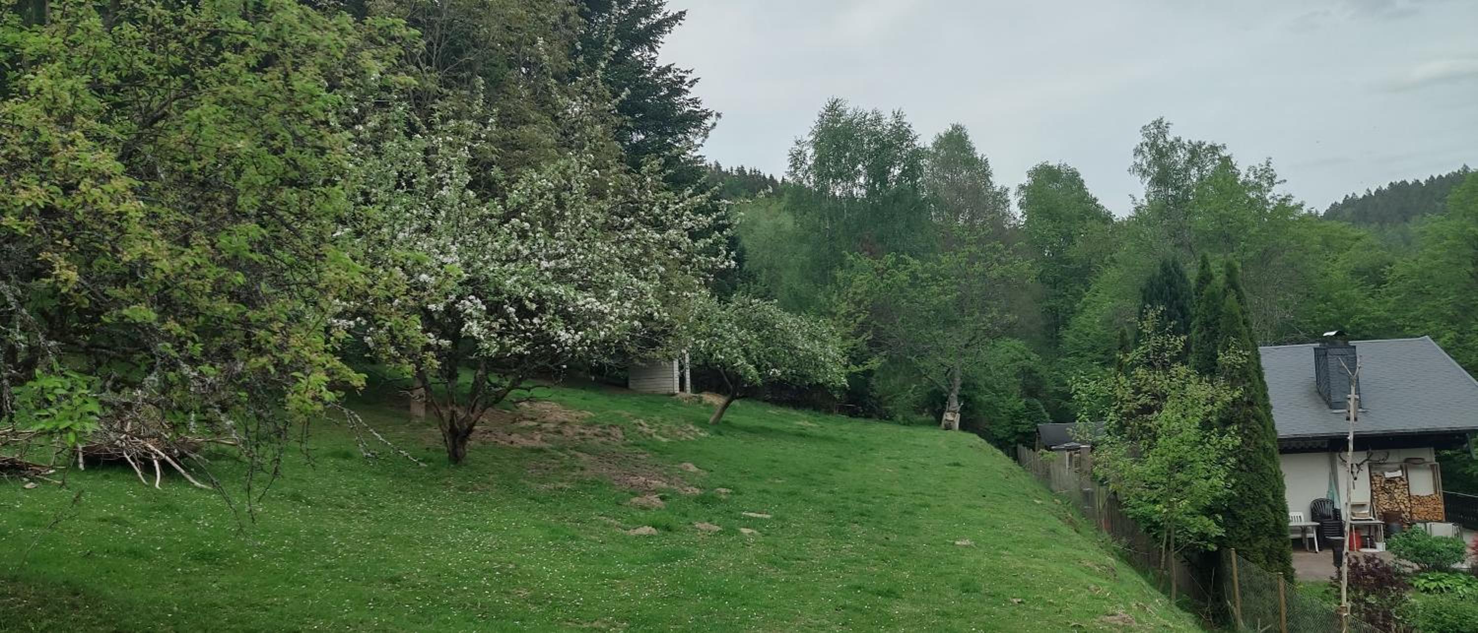 Seßles Waldhäuschen Dietzhausen