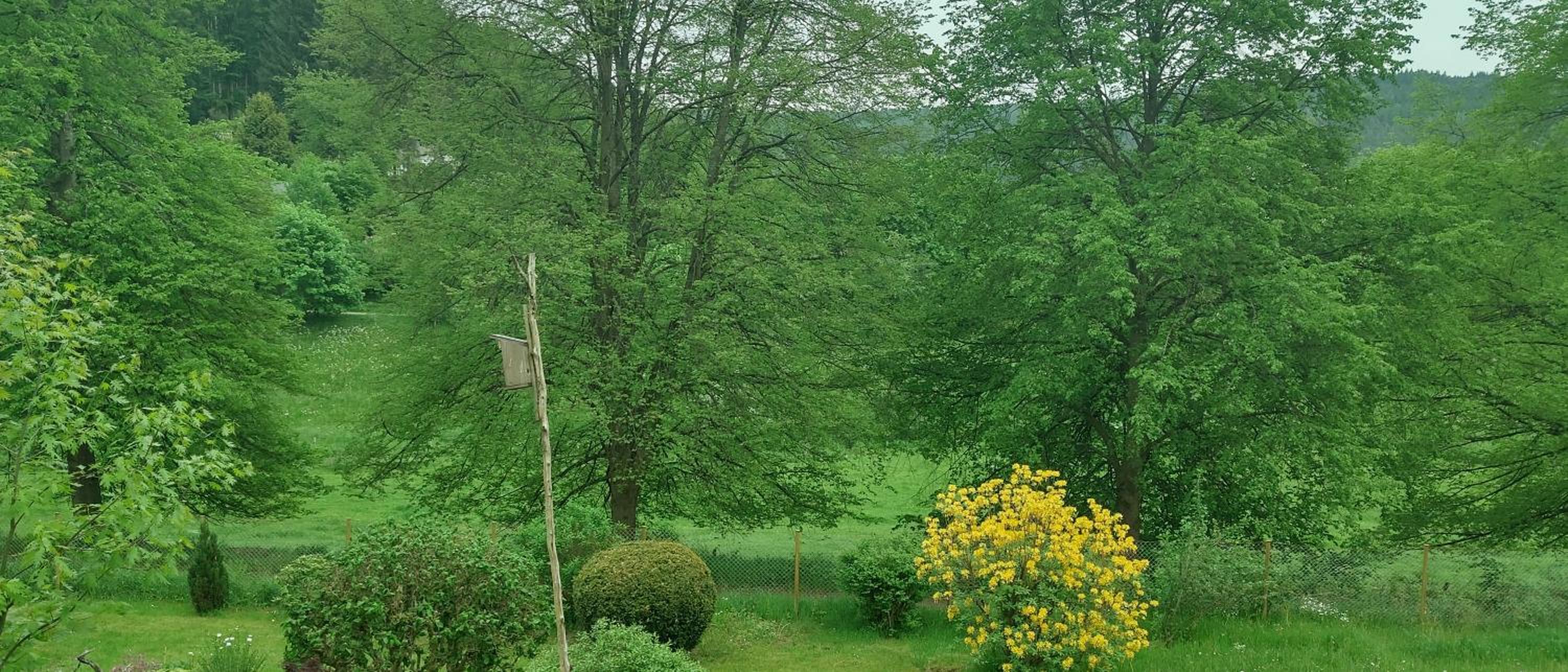 Seßles Waldhäuschen Dietzhausen