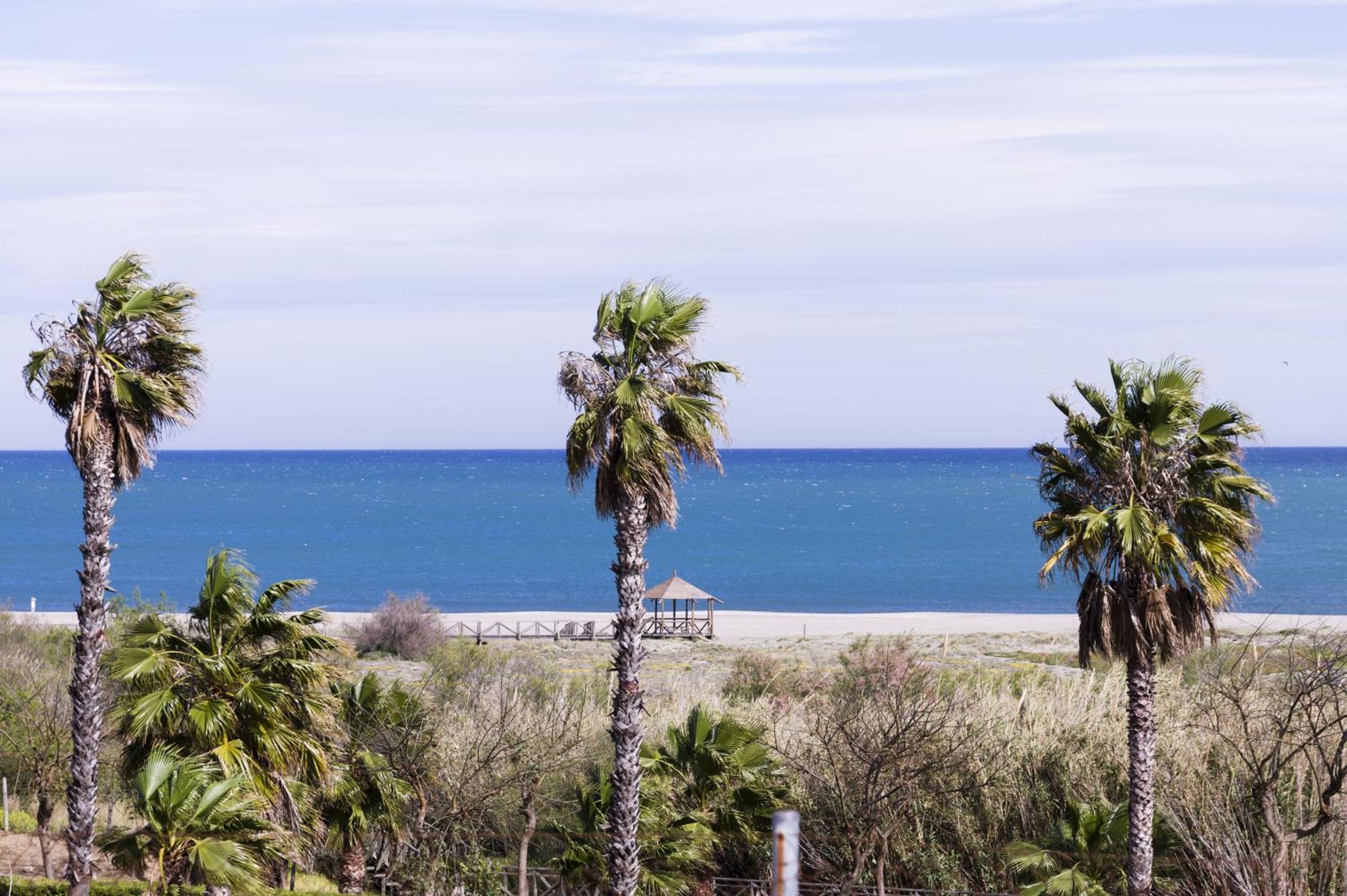 Hotel Las Camelias view 2