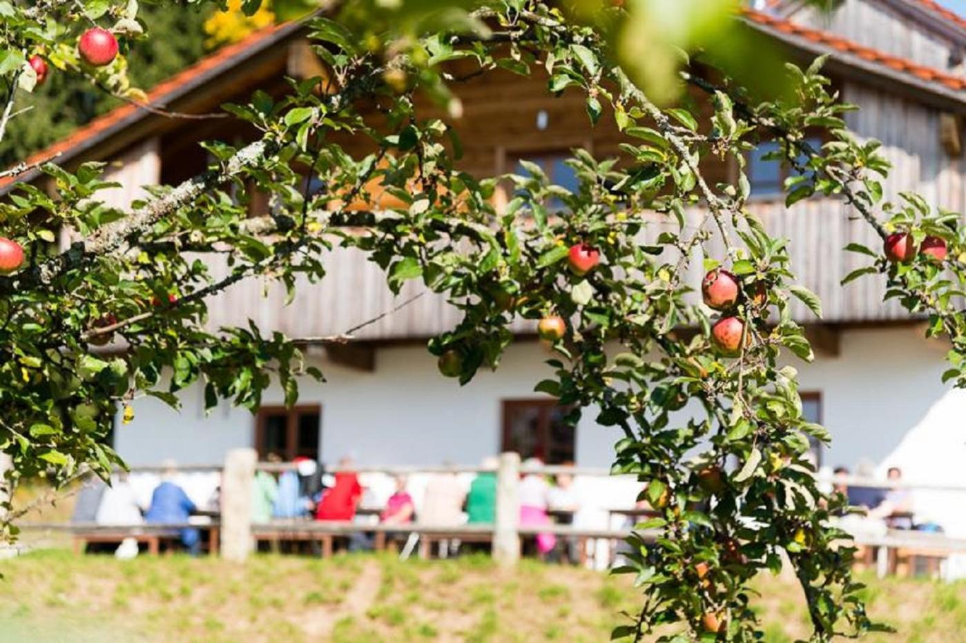 GutsAlm Harlachberg