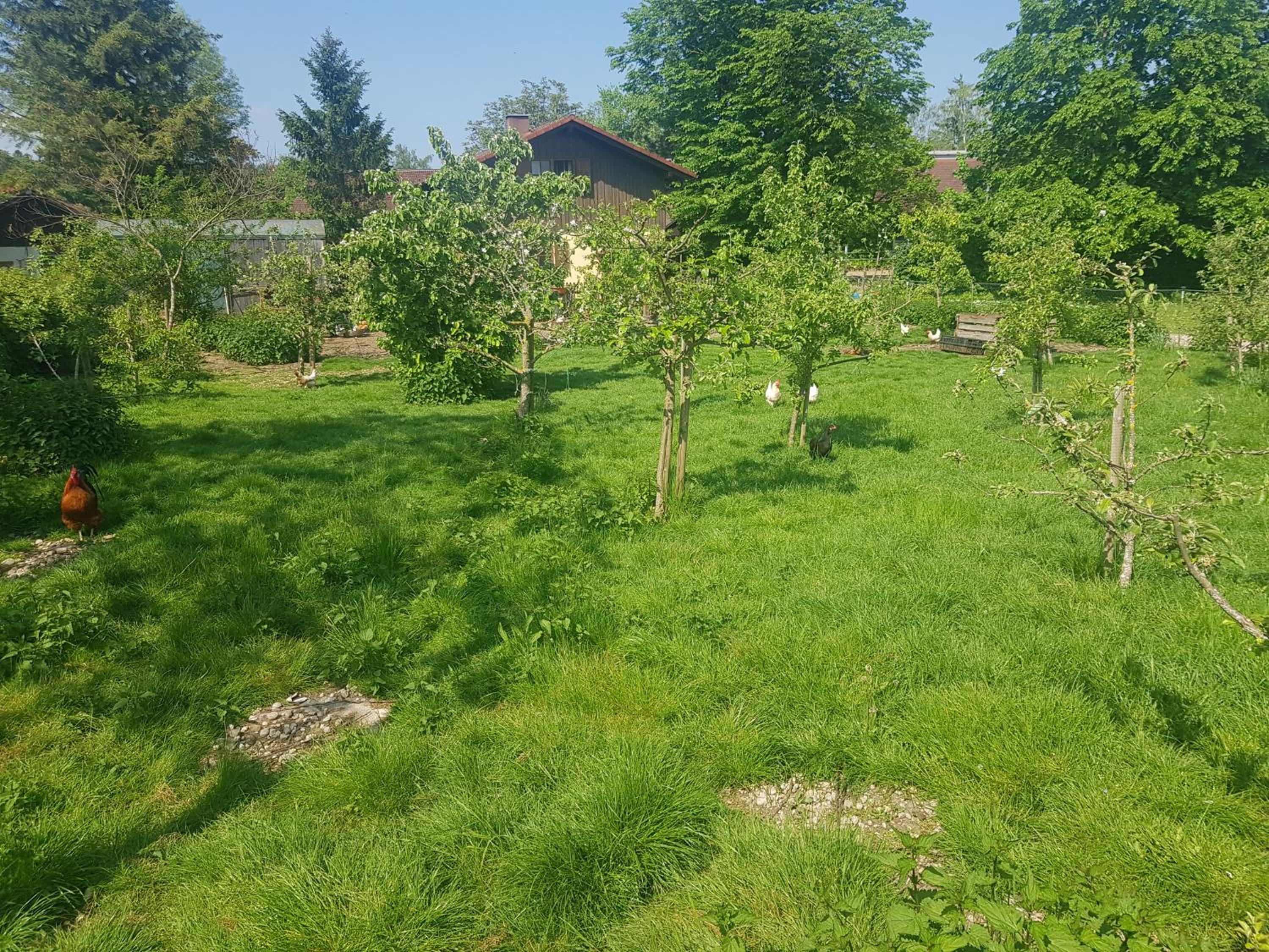 Photo 13