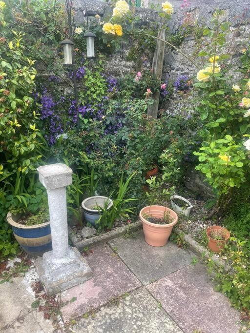 Ivybridge Cottage