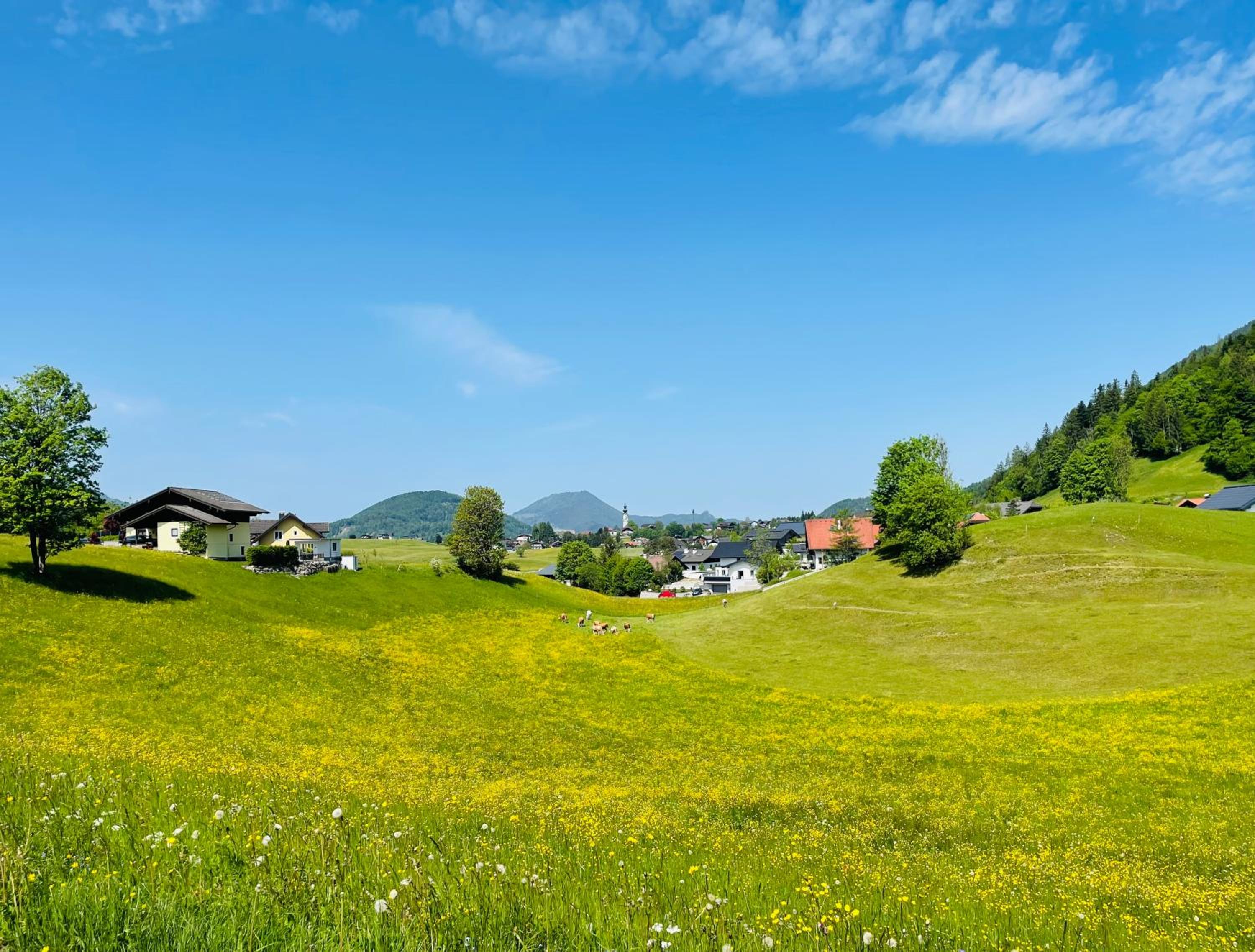 place2be - with infinity pool