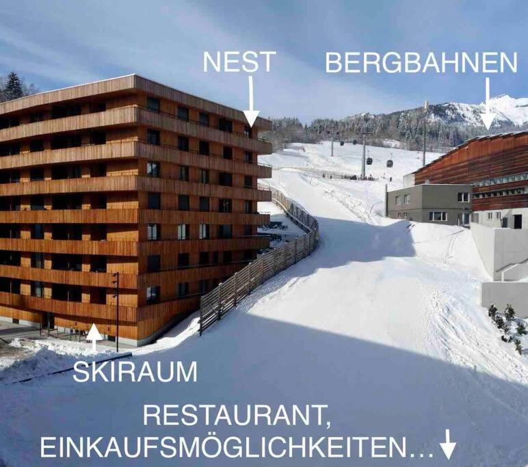 the NEST flims