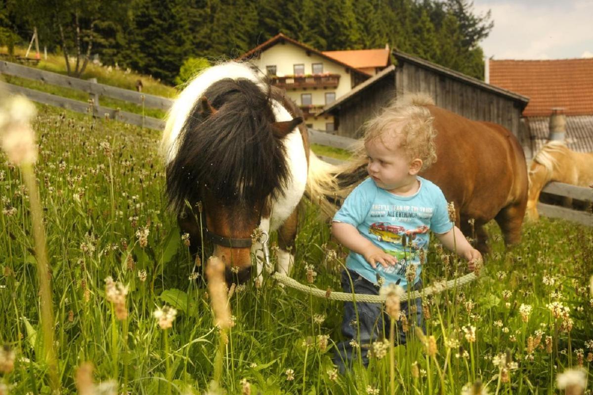 Freizeit- und Erlebnishof Schötz