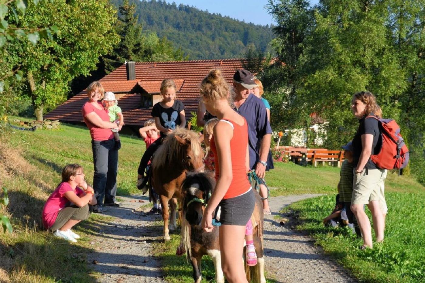 Freizeit- und Erlebnishof Schötz