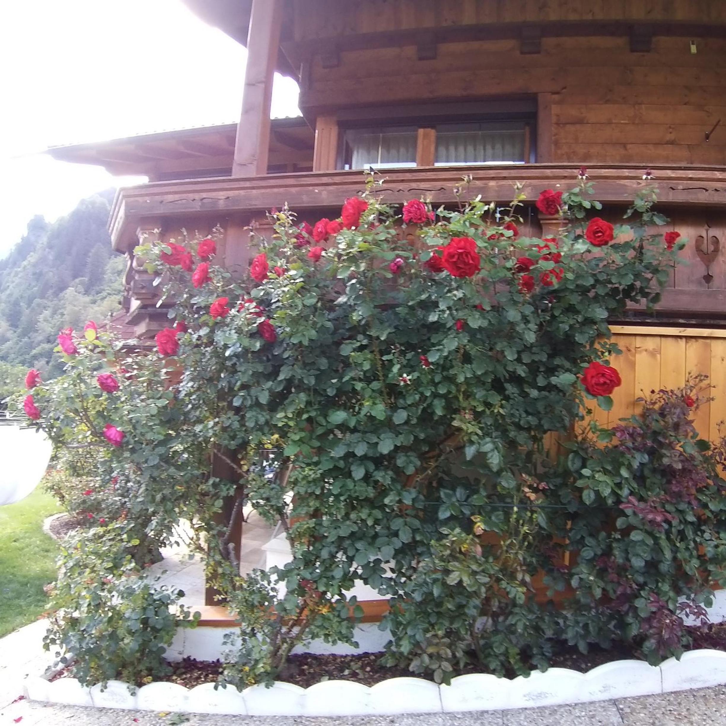 Landhaus Knoflach view 2