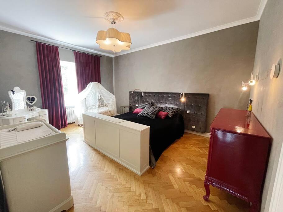 Spacious apartment in city center