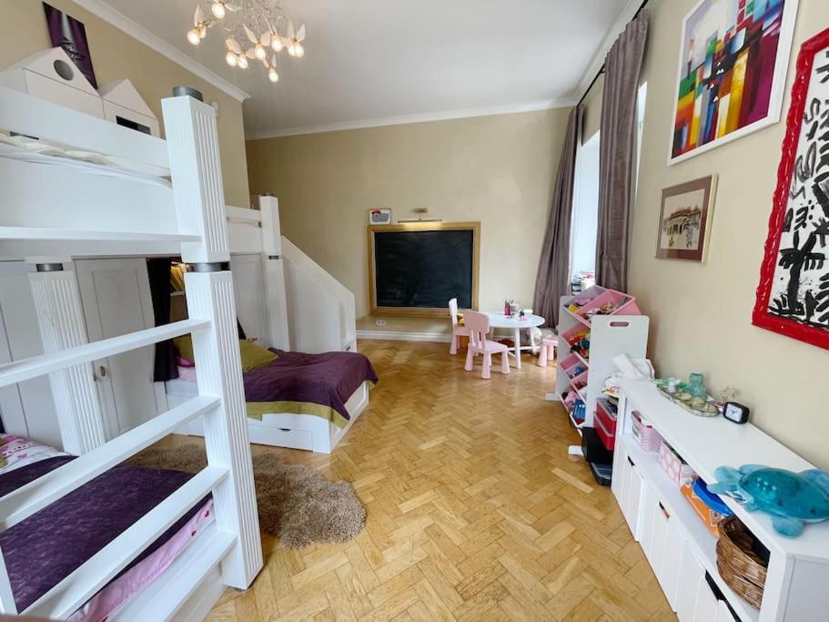 Spacious apartment in city center