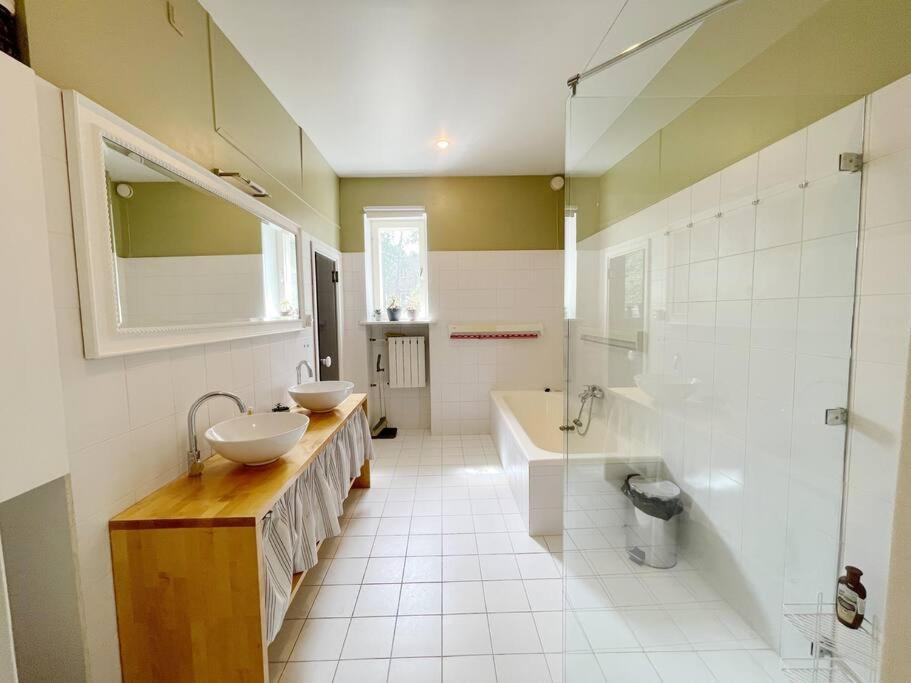 Spacious apartment in city center