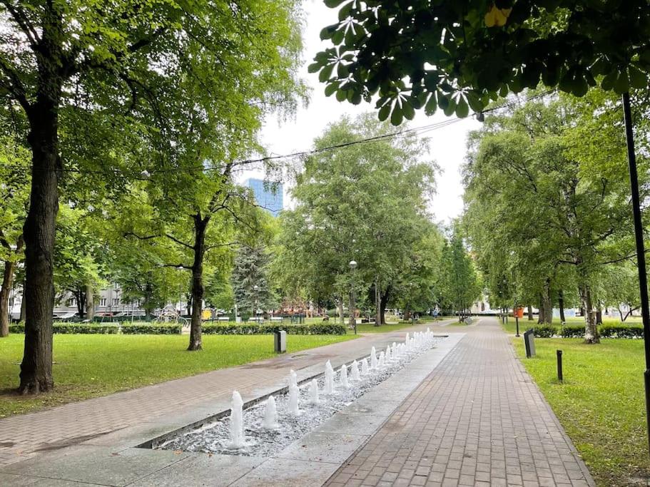 Spacious apartment in city center
