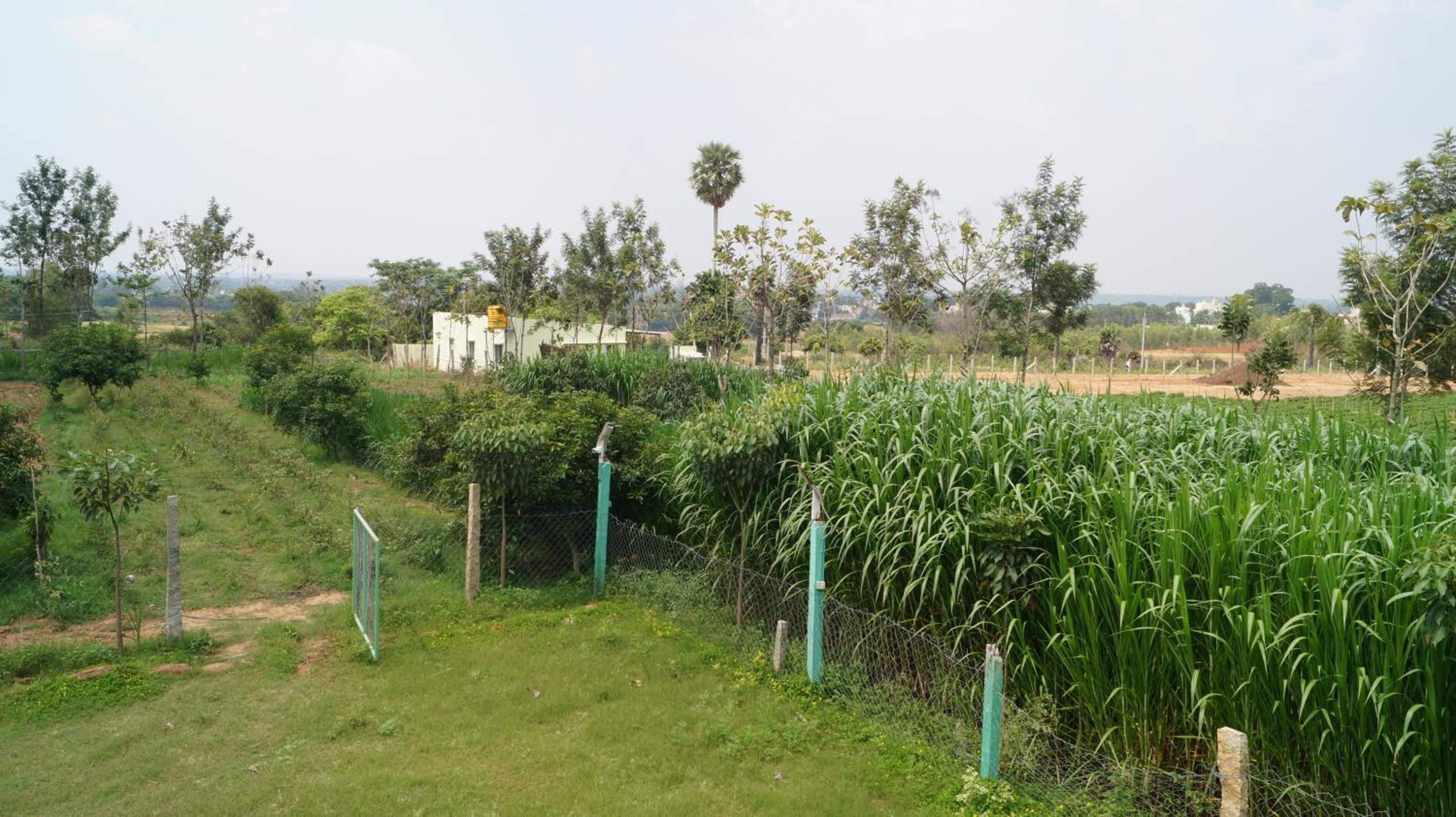 Rathnamala estate