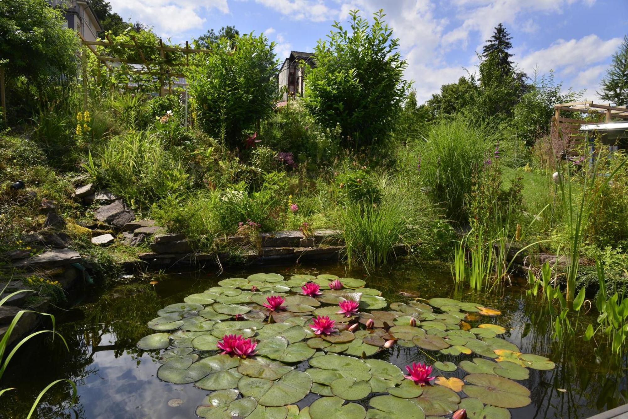 Villa Regina Waldblick