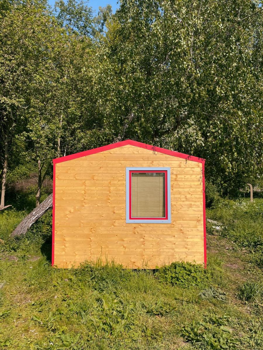 Photo 45