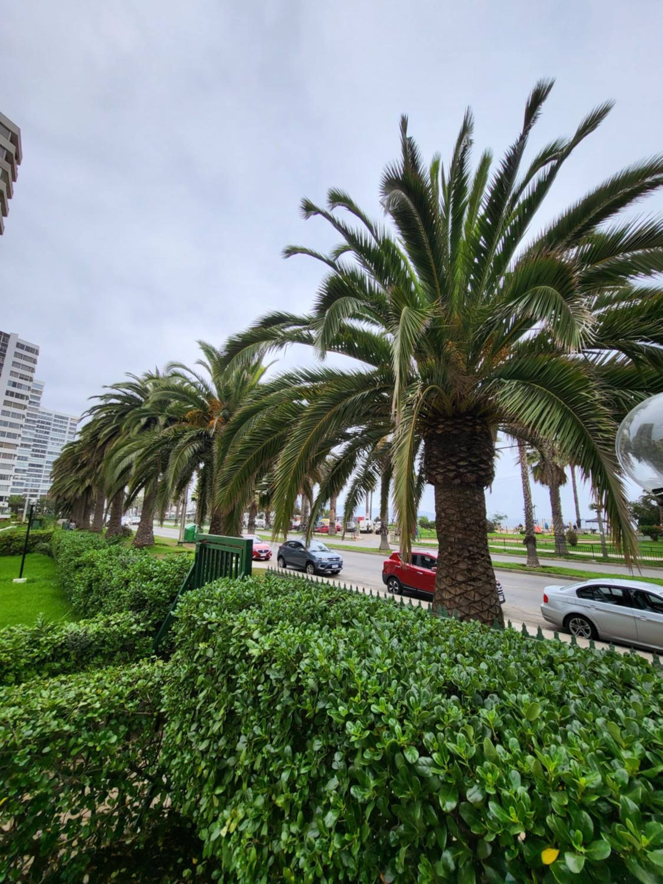 playa Pacífico