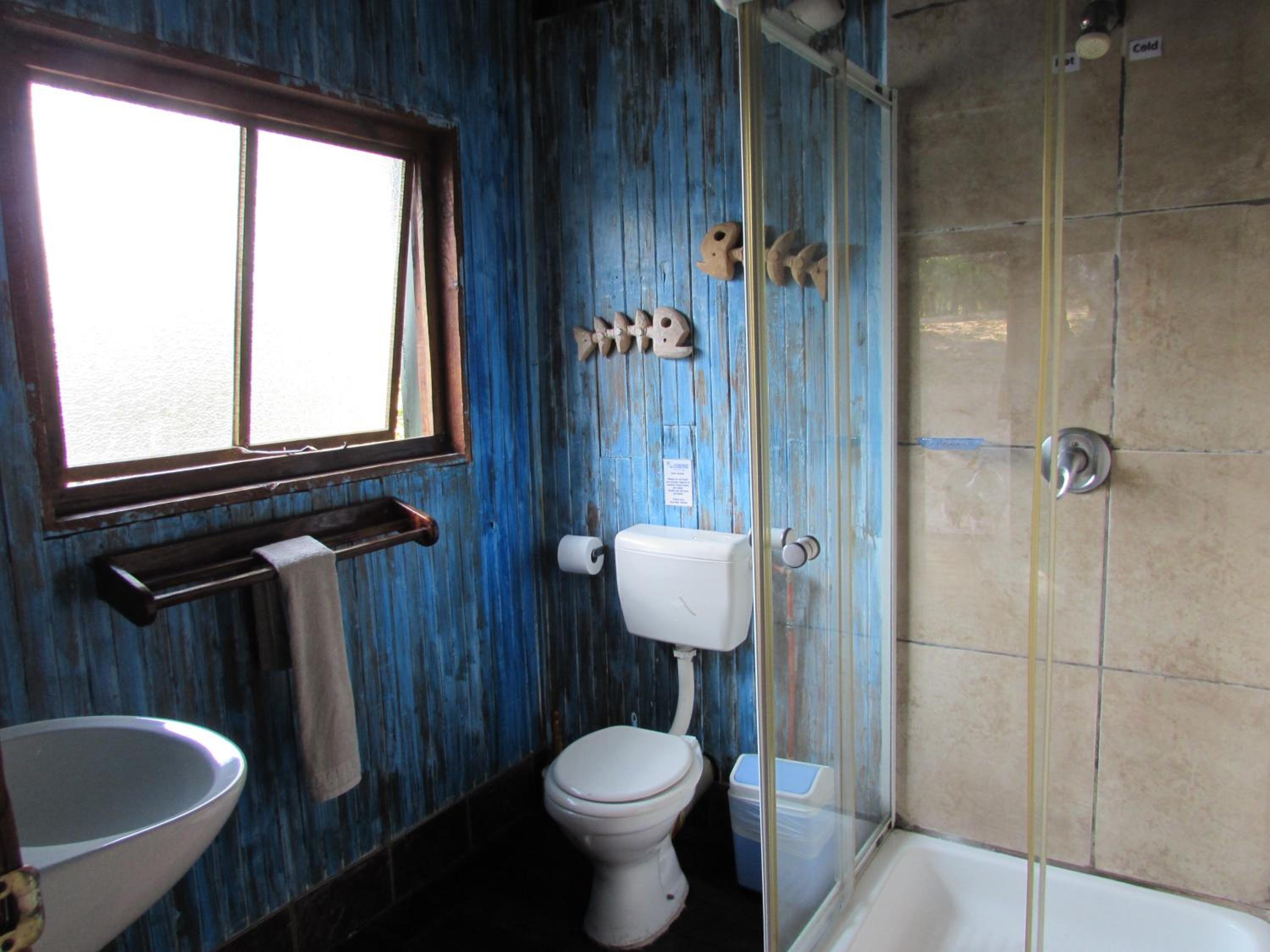 Photo 42