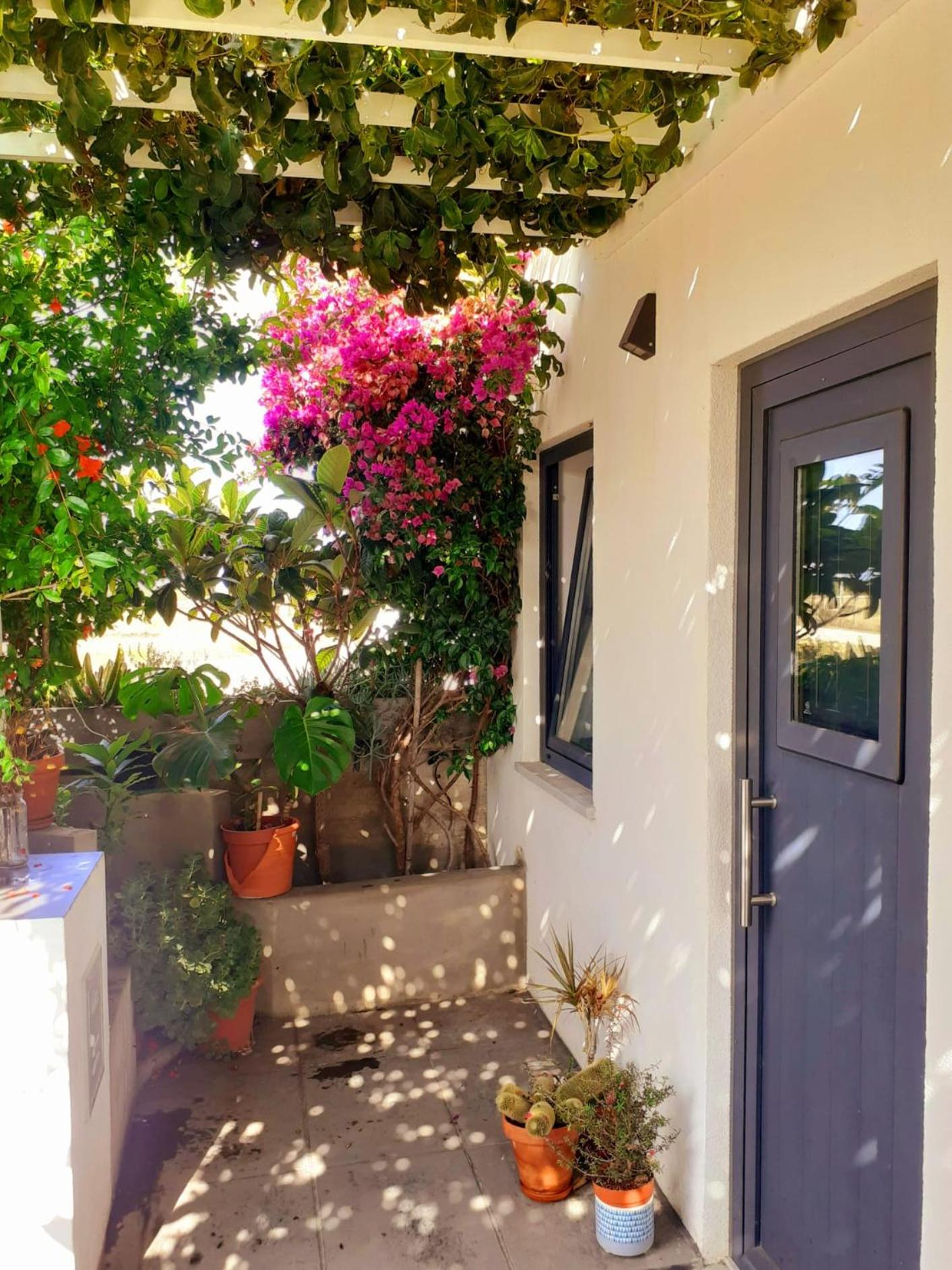ZENergy - GUEST HOUSE view 4