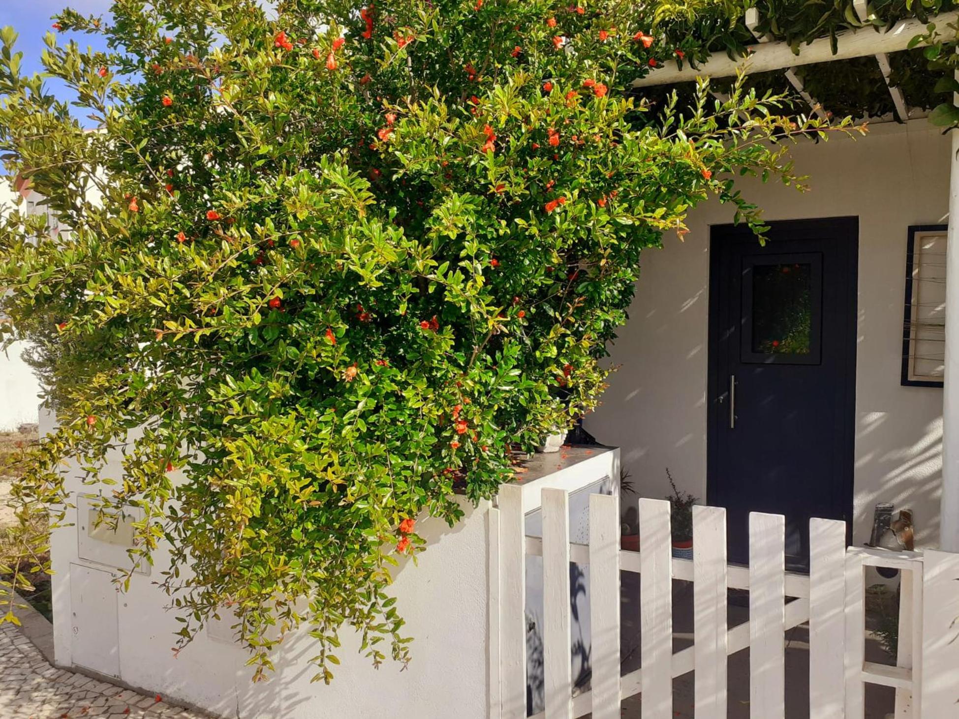 ZENergy - GUEST HOUSE view 3