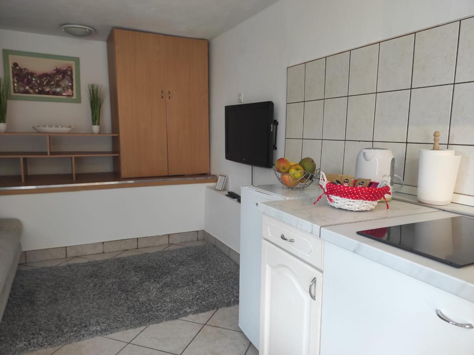 Studio Apartment Petrov view 3
