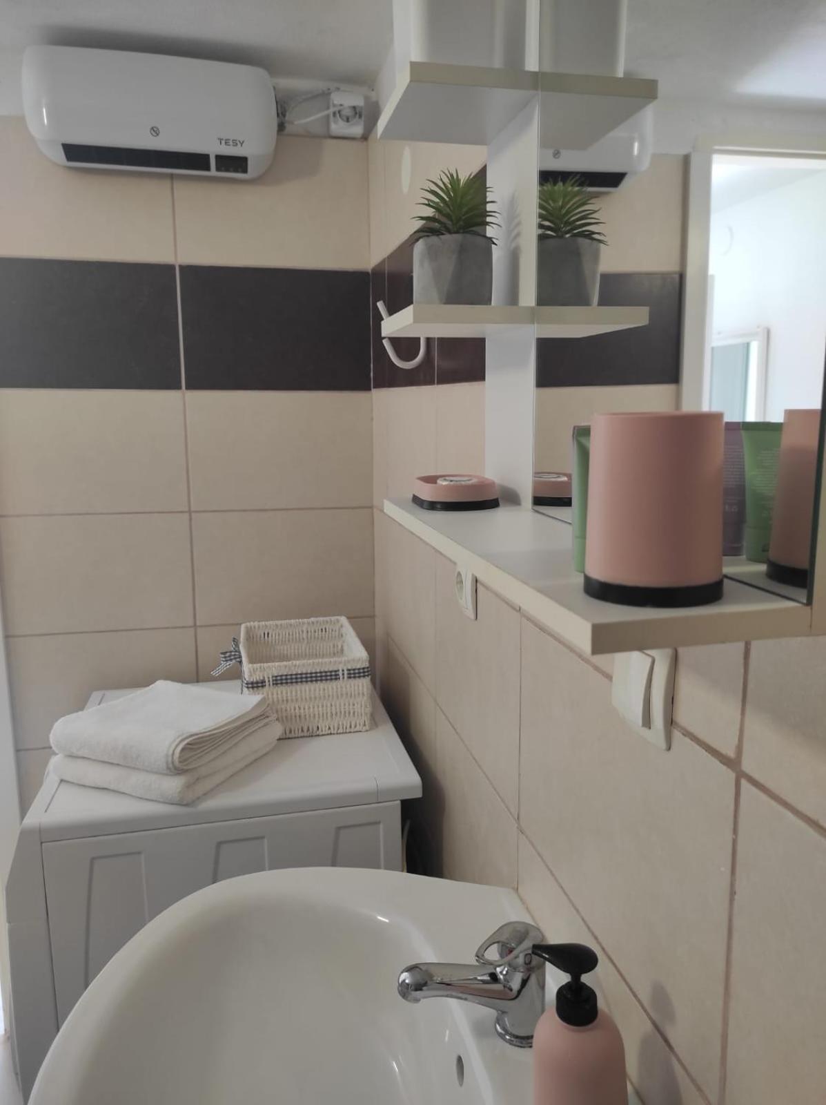 Studio Apartment Petrov view 5