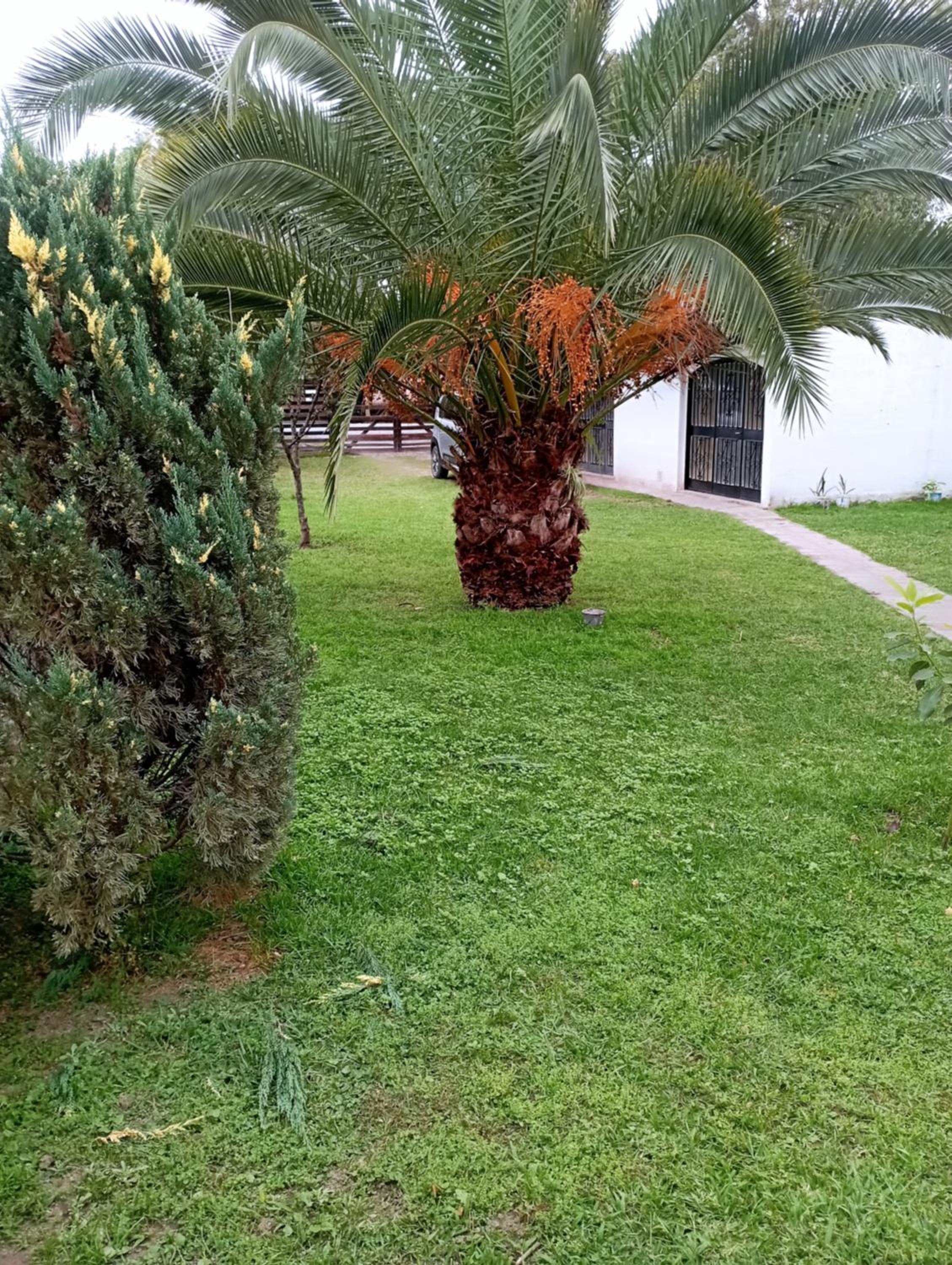 San Cayetano