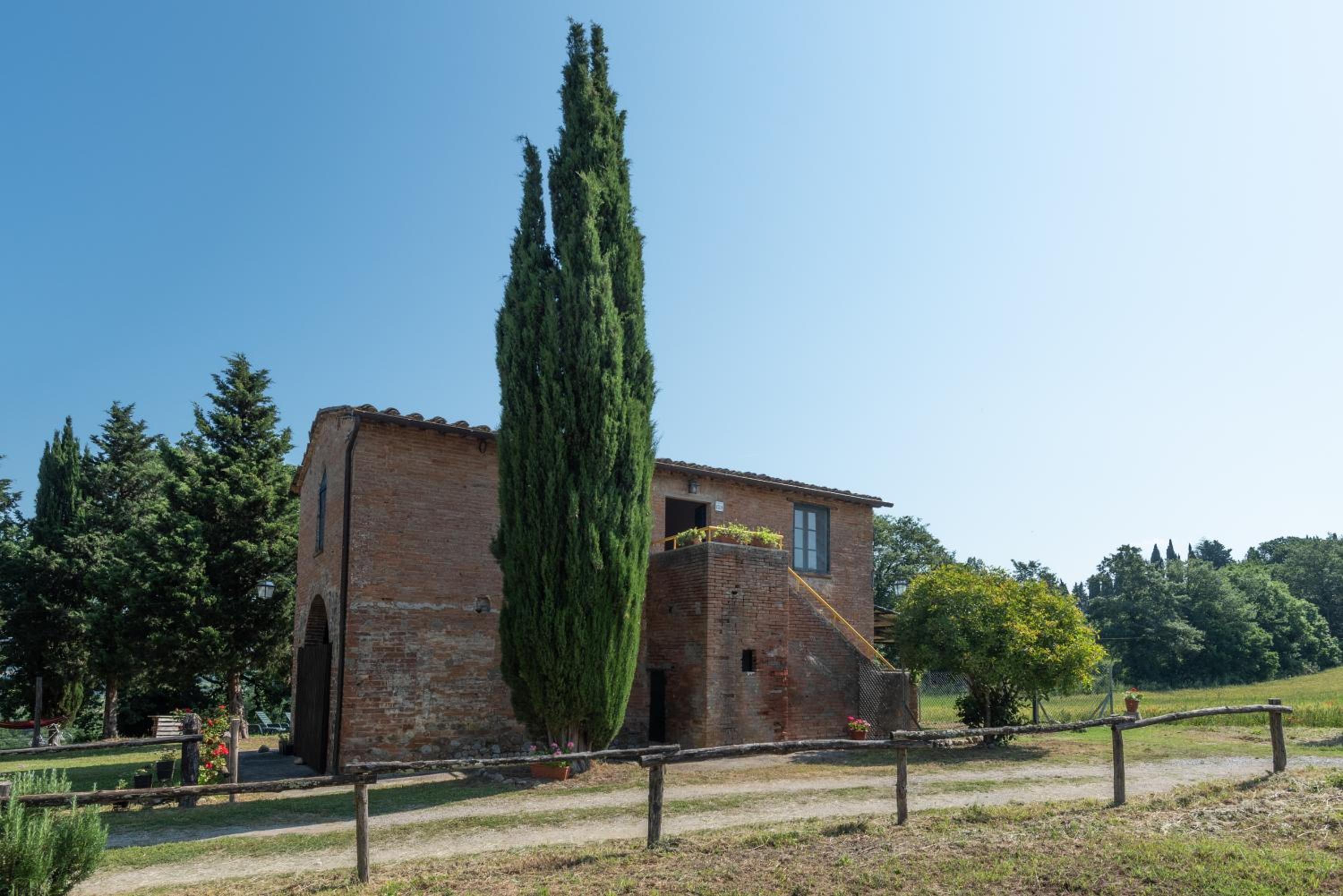 ROSMARINO