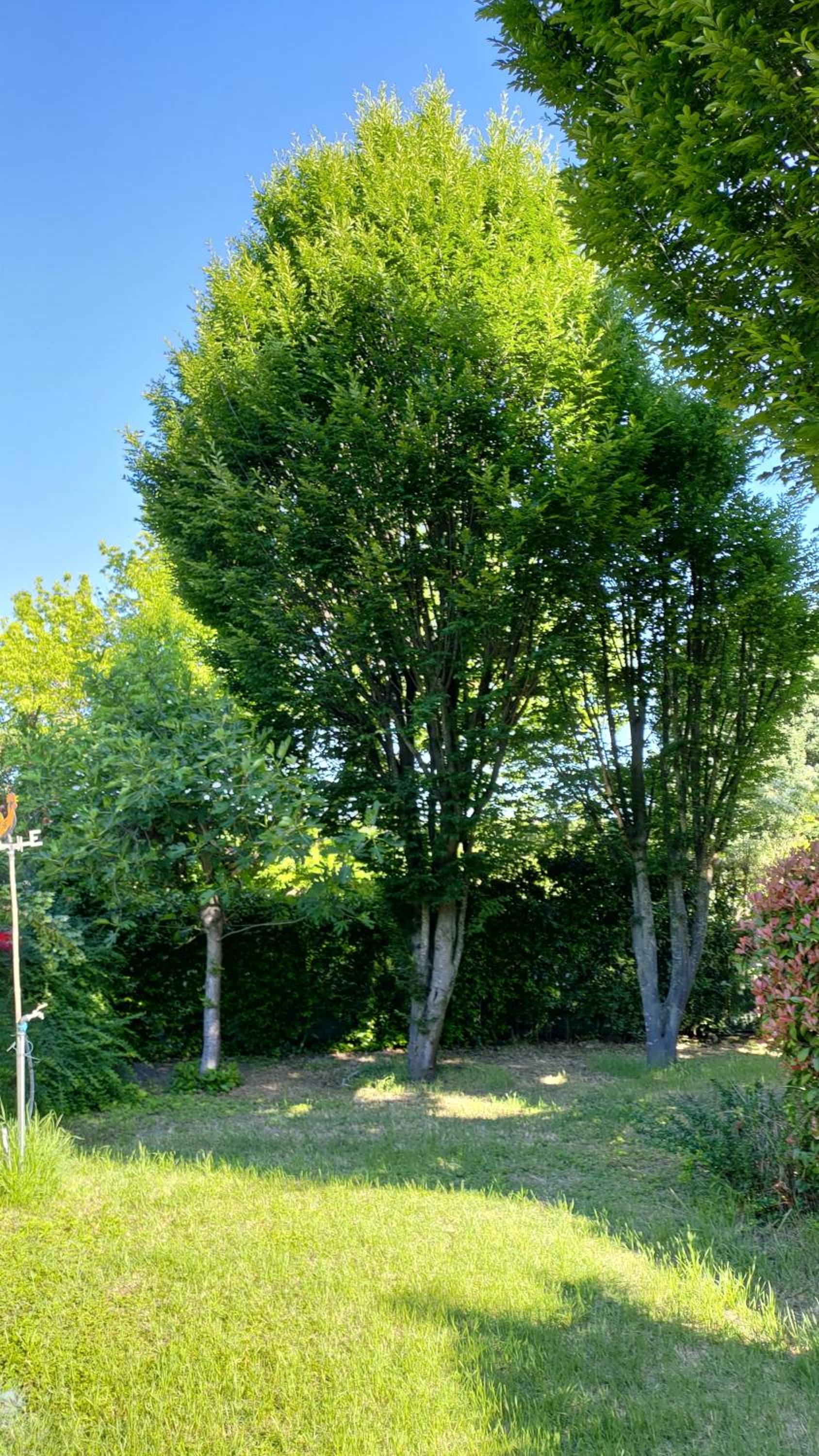 Outlander Cottage B&B vicino Centergross Bologna view 5