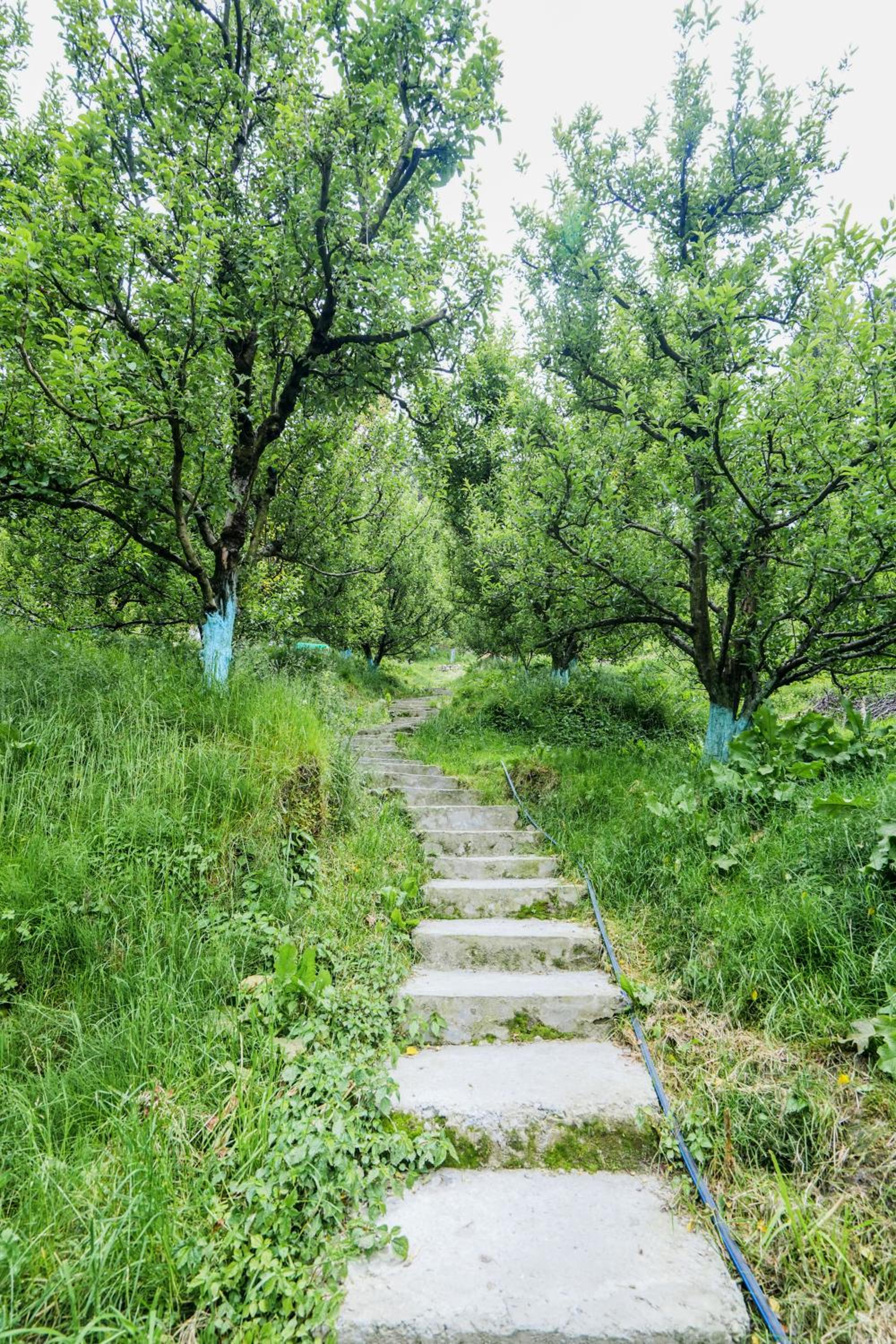 Photo 39