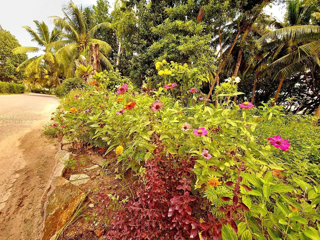 Le Nid de Bea Self-catering Apartments