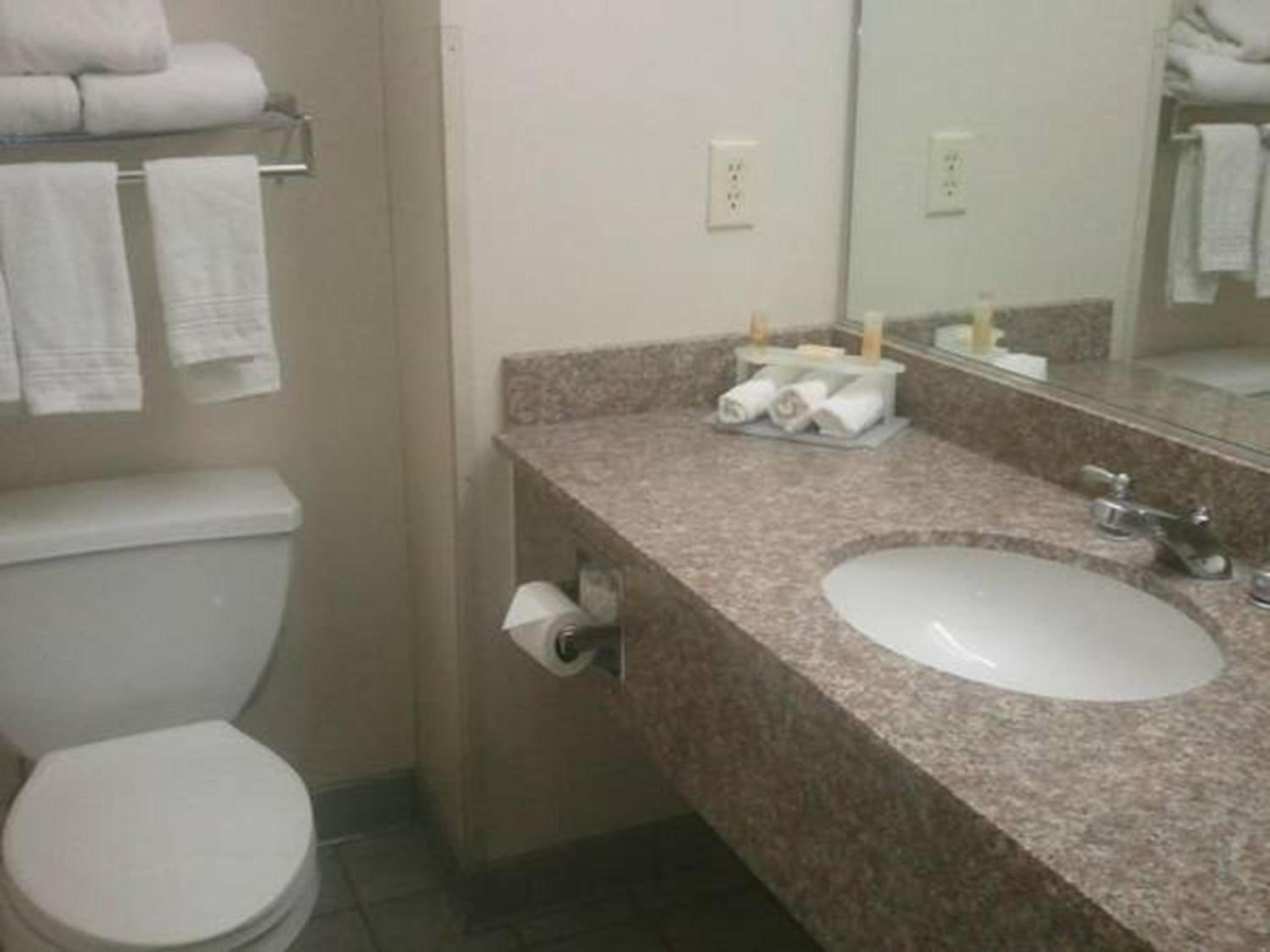 Quality Inn Suites Schoharie near Howe Caverns - Property Image 31
