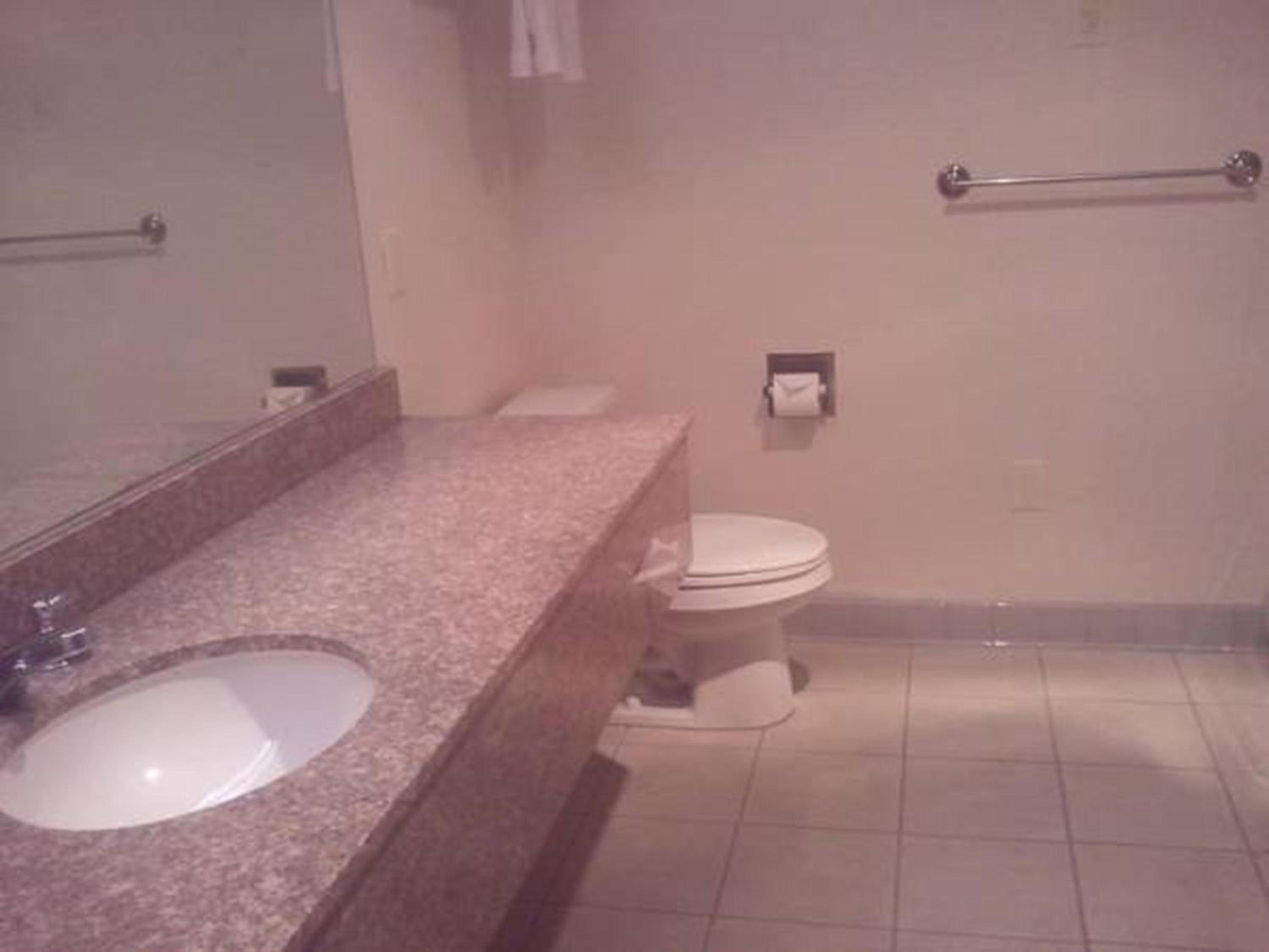 Quality Inn Suites Schoharie near Howe Caverns - Property Image 25