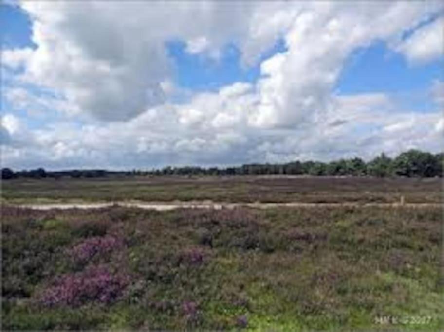 Schaapskooi