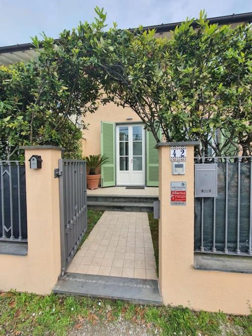 La casa di Elena Versilia - Two Apartments view 4