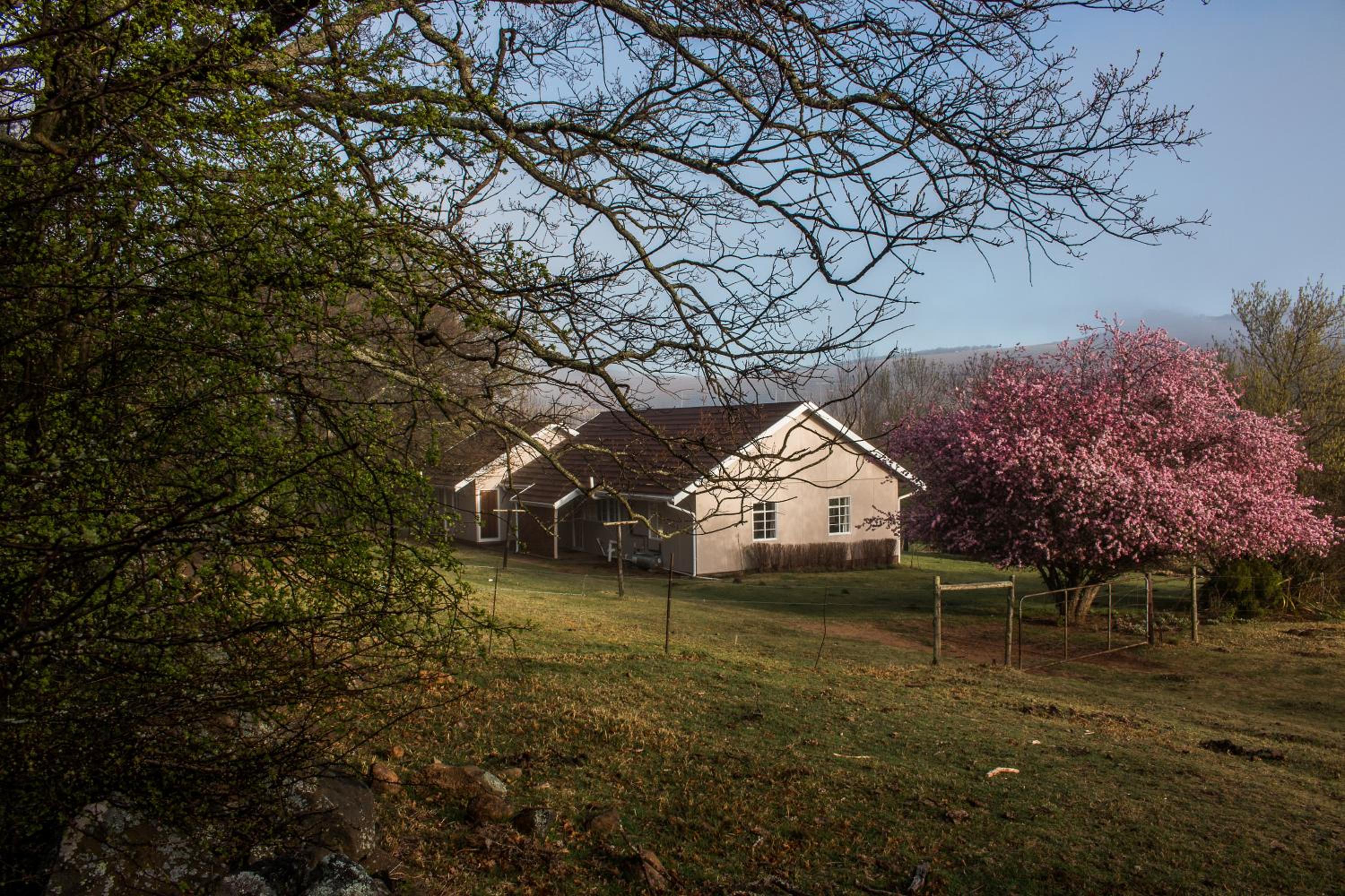 Lowestoffe Country Lodge Rockford view 4