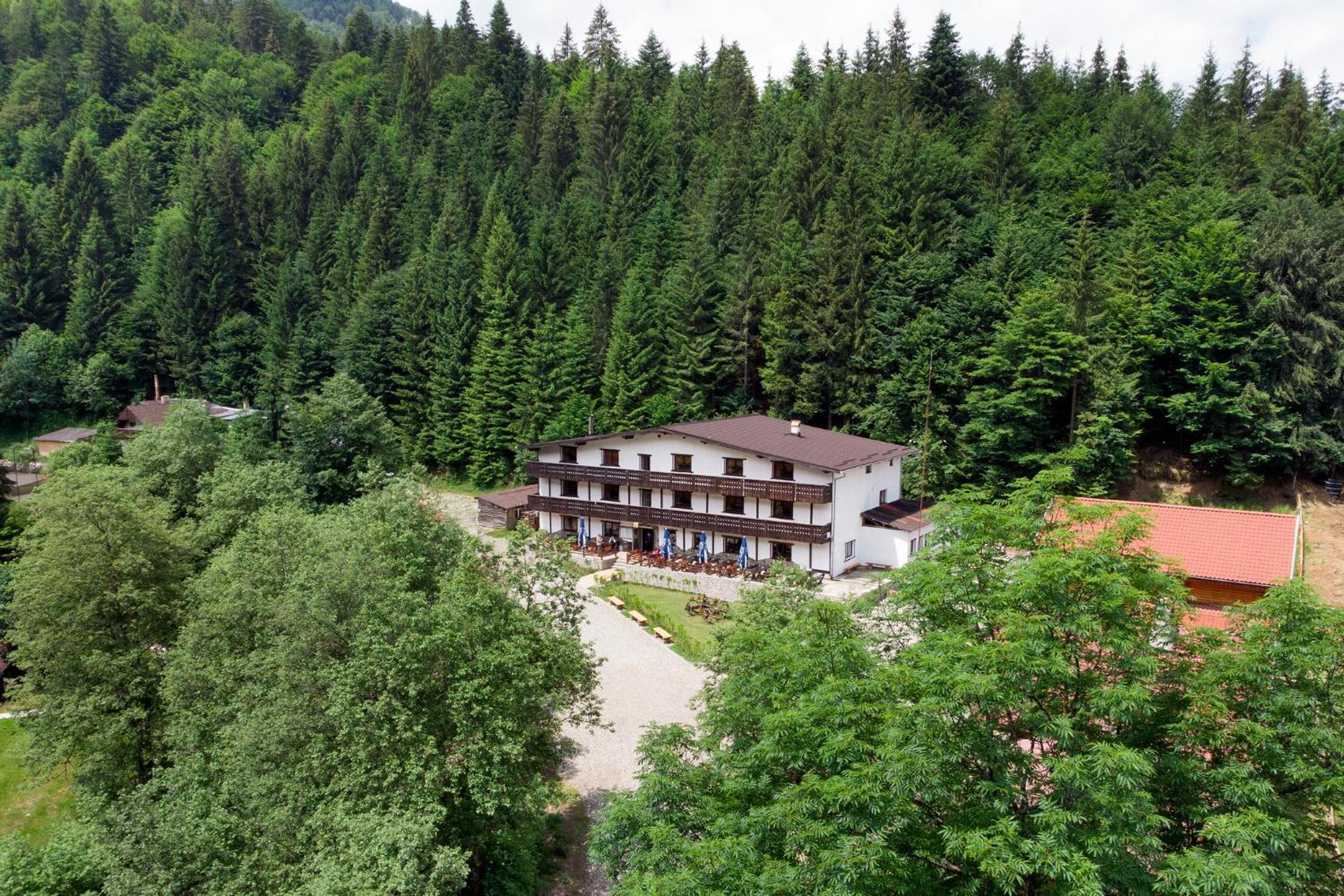 Photo 8