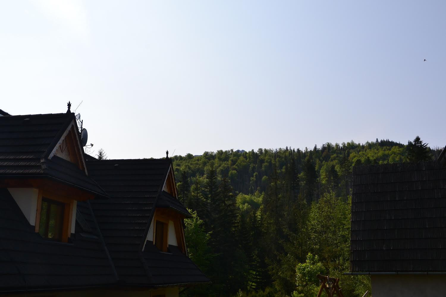 Studio Relaks view 3
