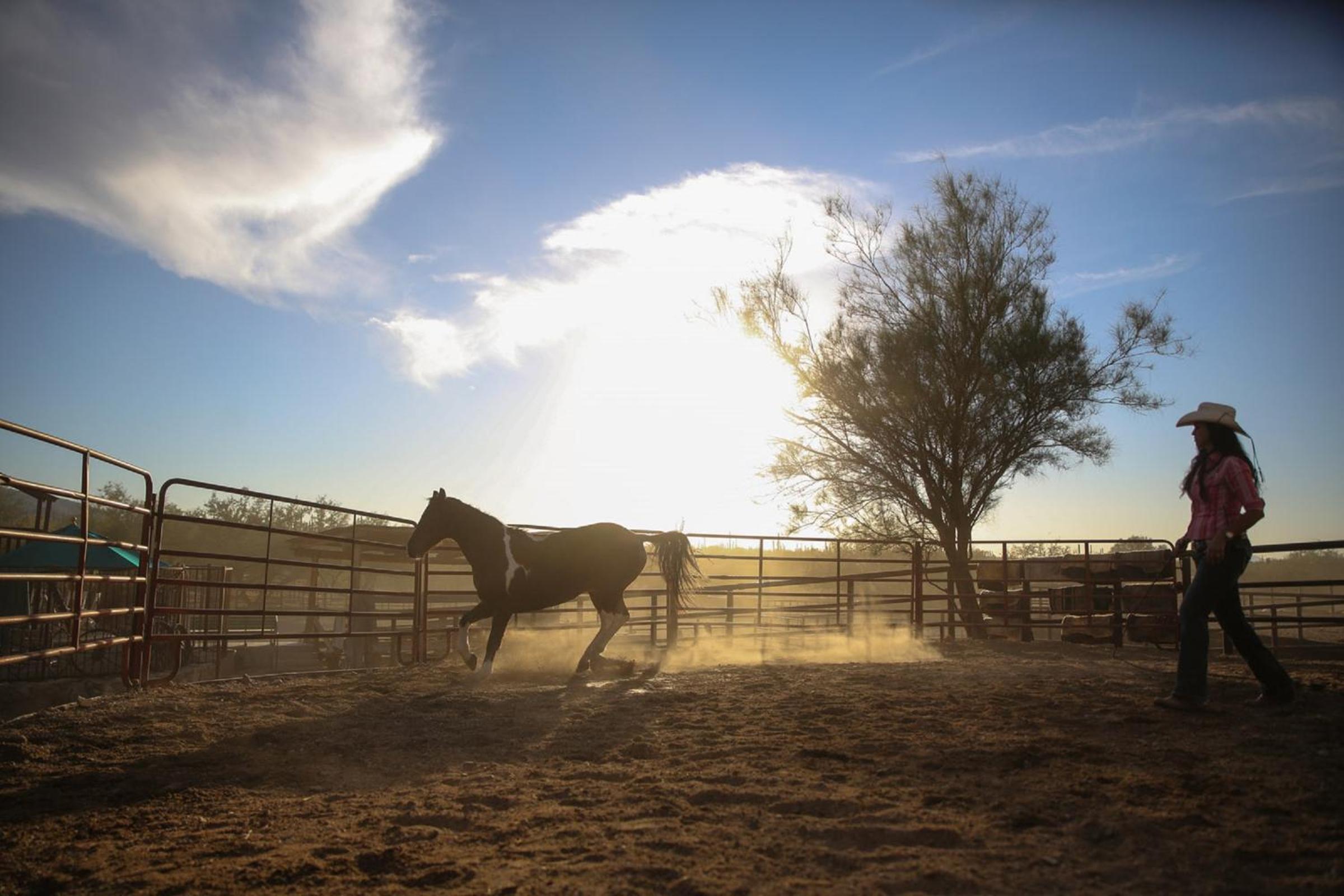 Tanque Verde Guest Ranch