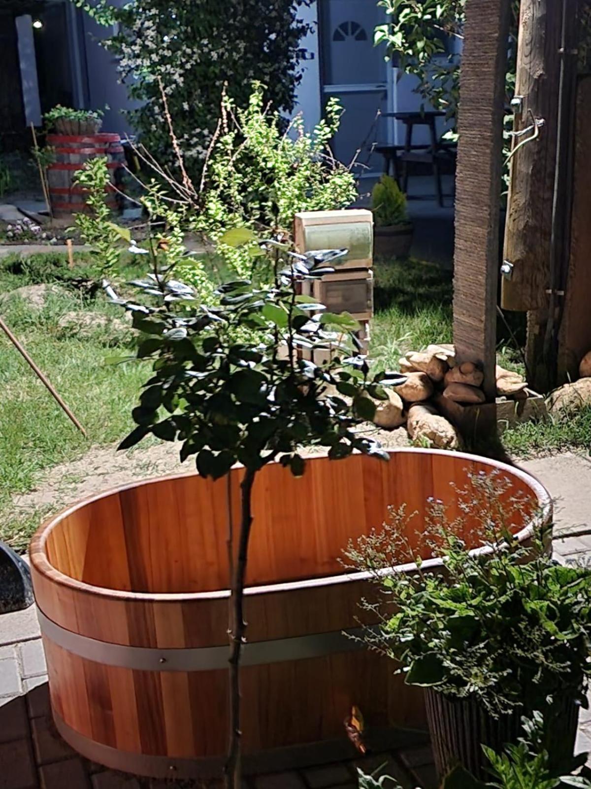 Photo 12