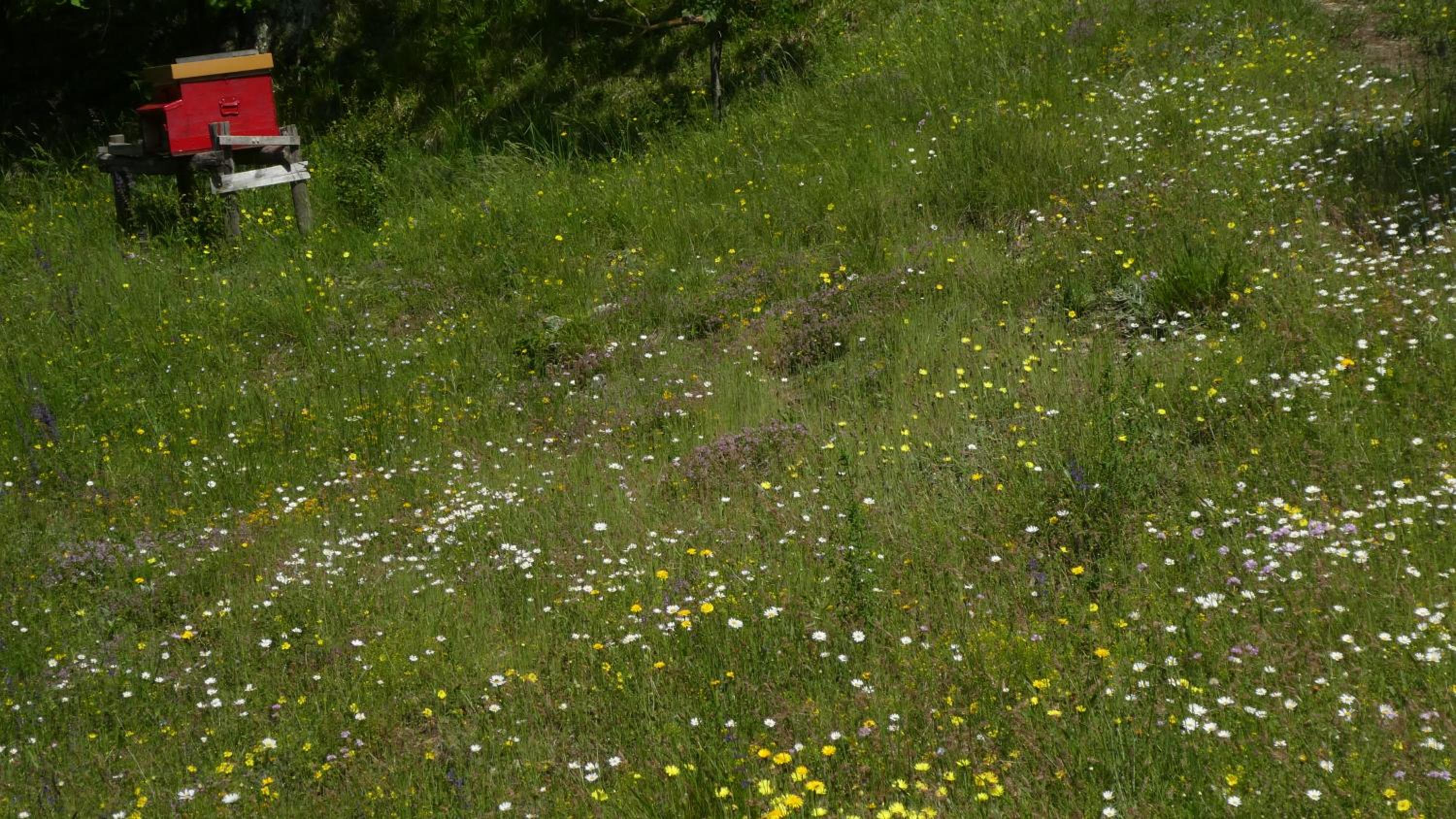 Photo 32