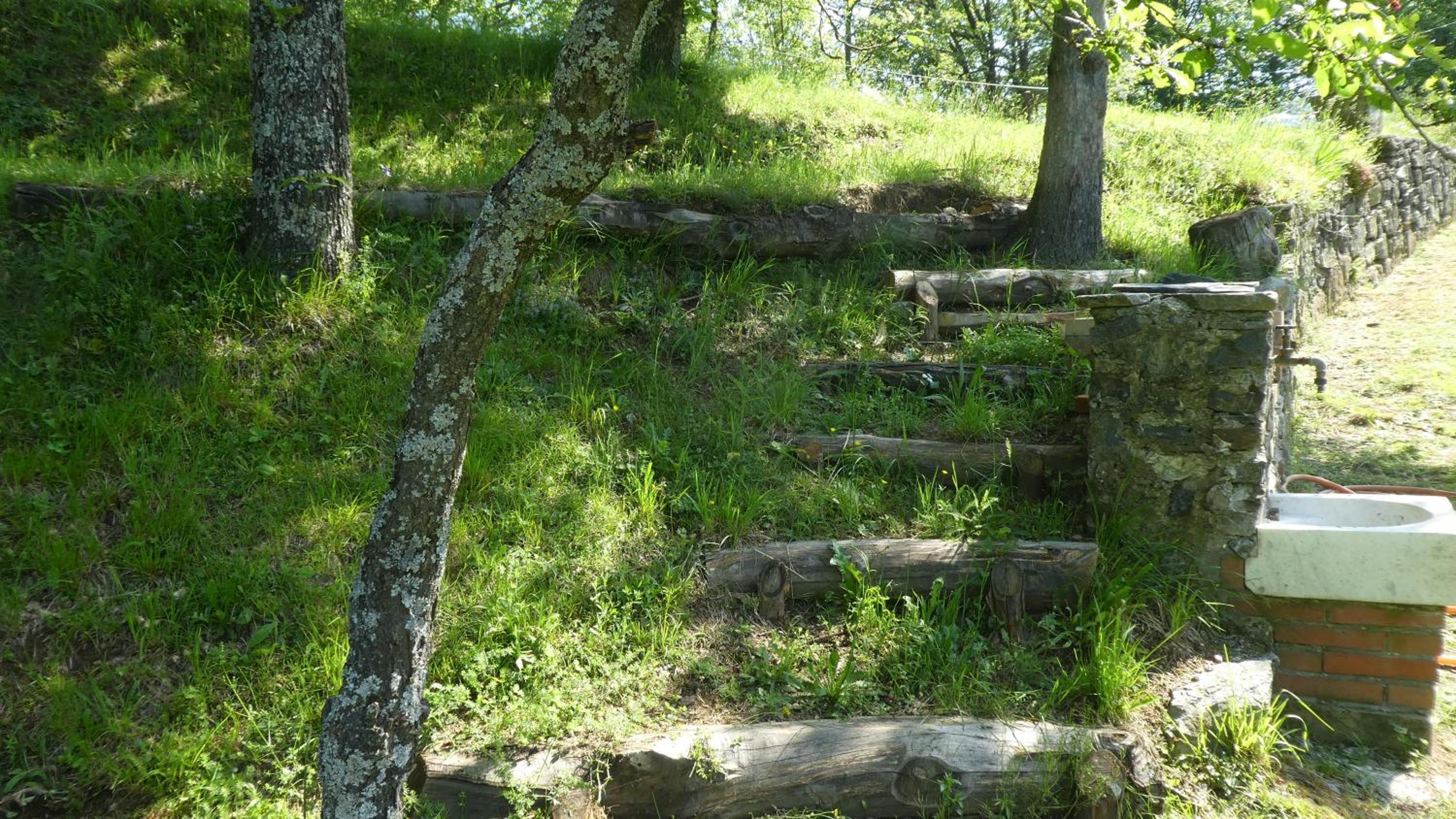 Photo 33